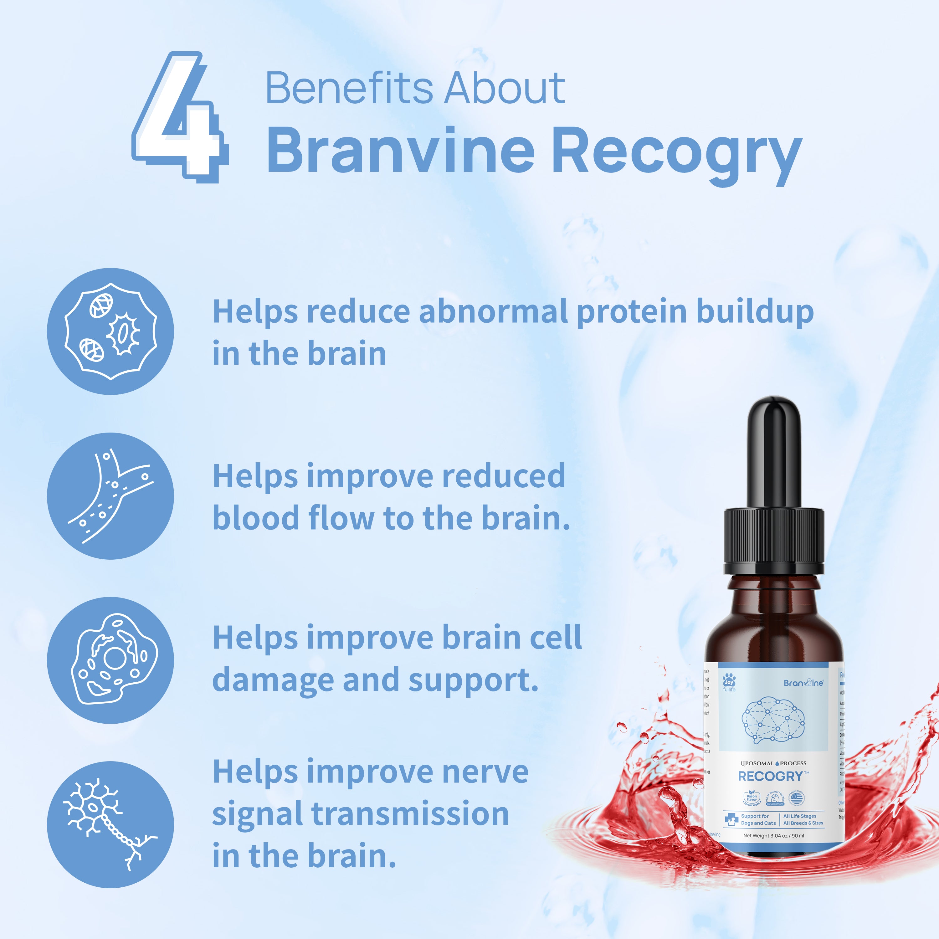Recogry Cognitive Disorder and Brain Support for Cats and Dogs (90ml)