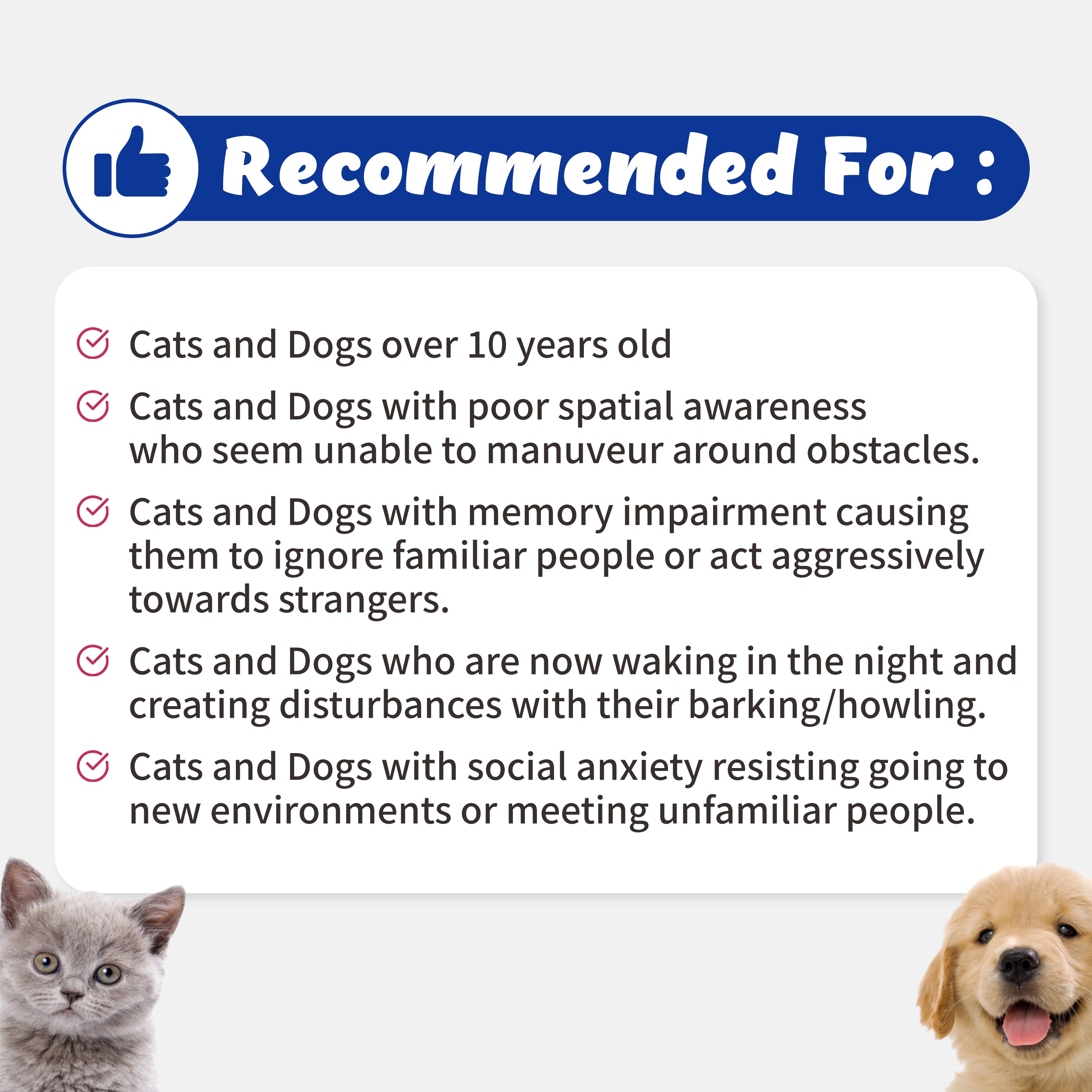 Recogry Cognitive Disorder and Brain Support for Cats and Dogs (90ml)