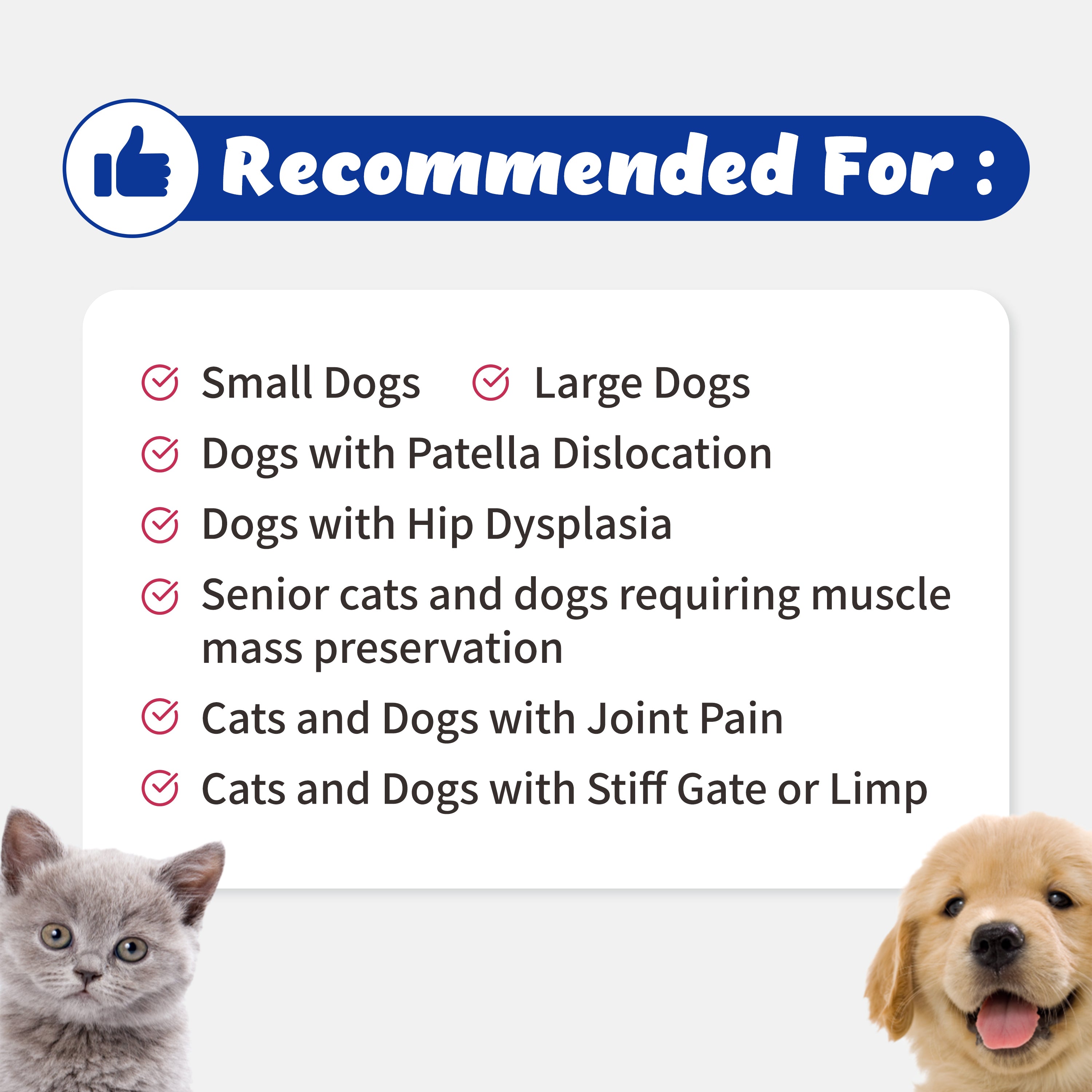 Joint Guardian - Supports Joint, Muscle and Ligament for Cats and Dogs (12.25g)