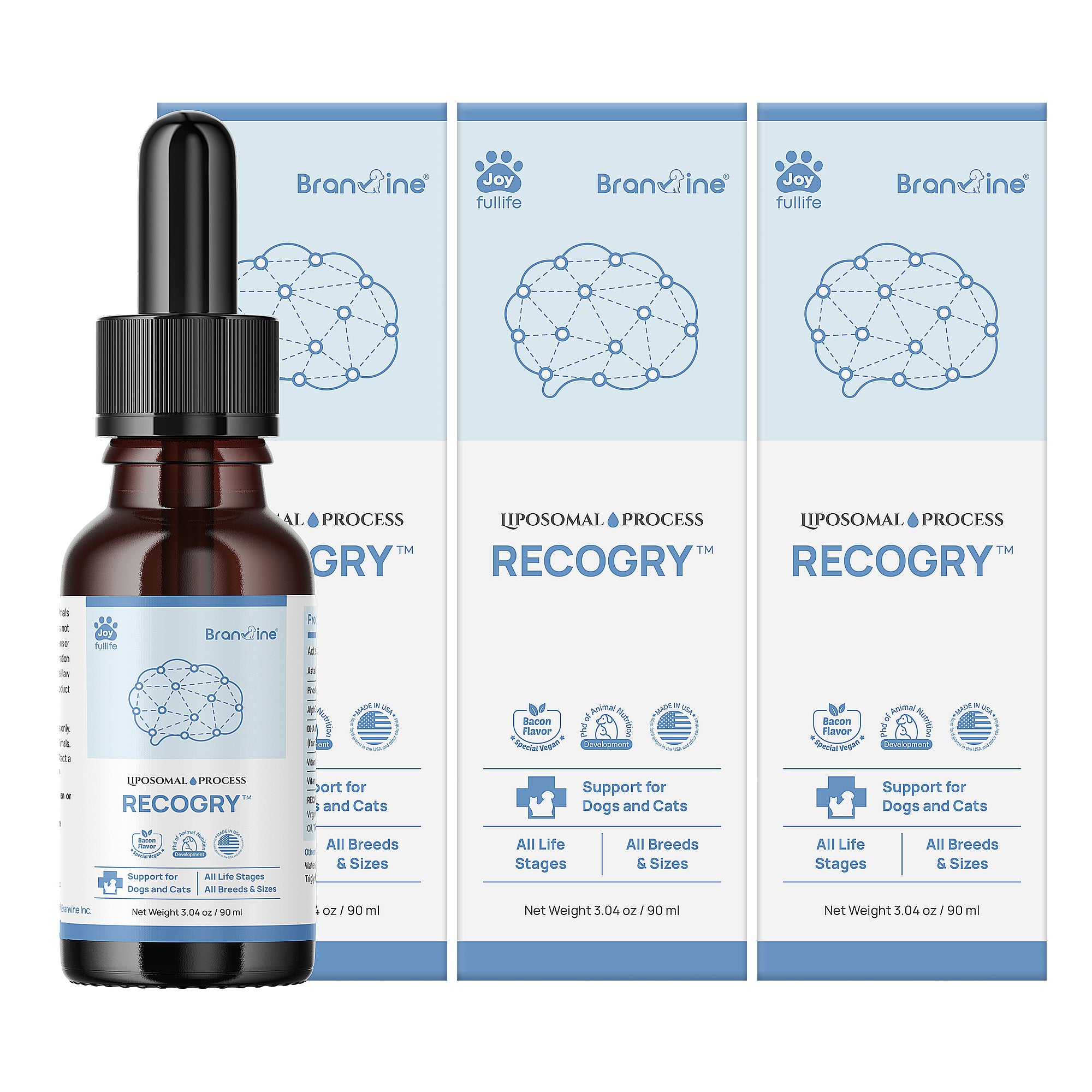 Recogry Cognitive Disorder and Brain Support for Cats and Dogs (90ml)
