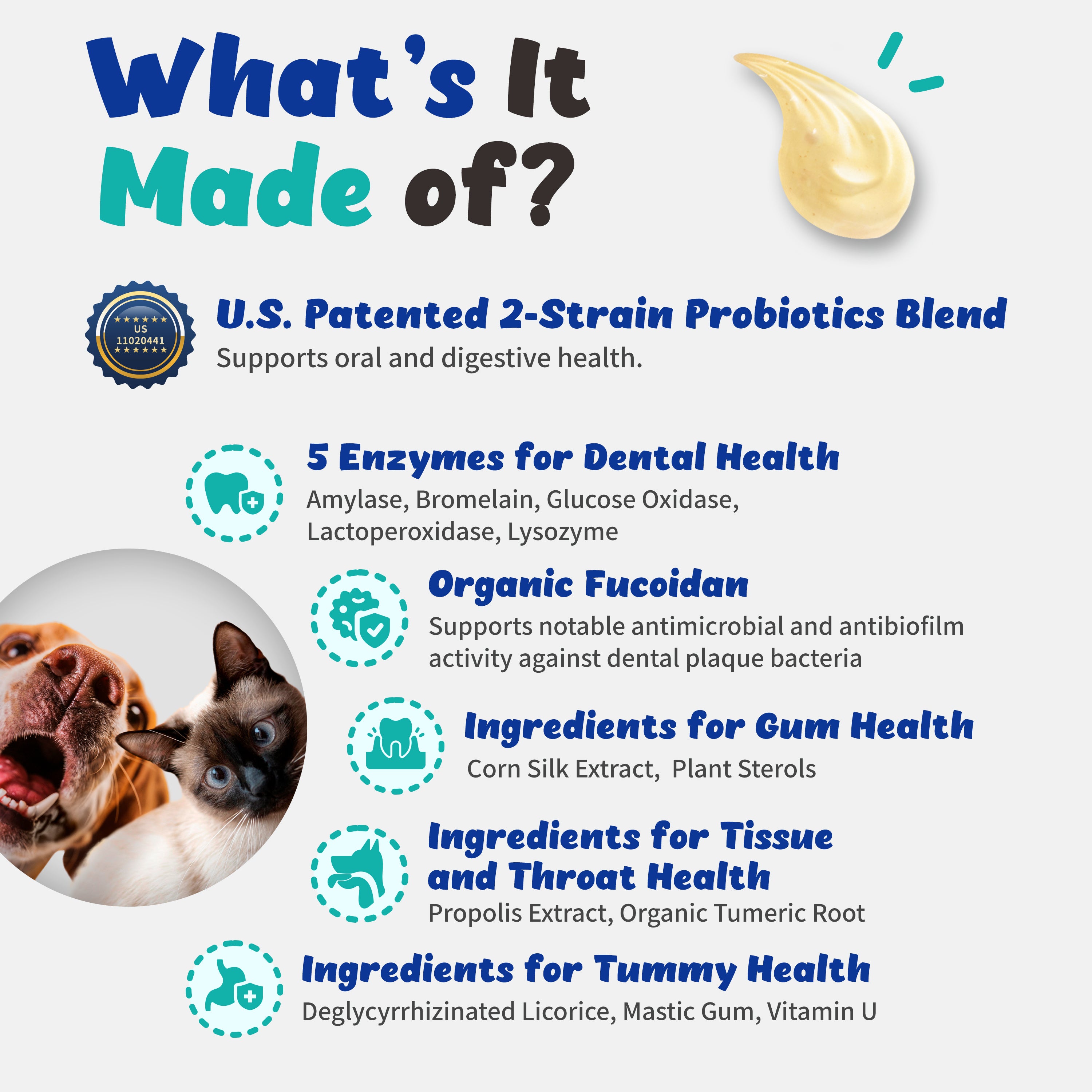 Dental-Tummy Toothpaste & Rinse for Cats and Dogs (110ml)