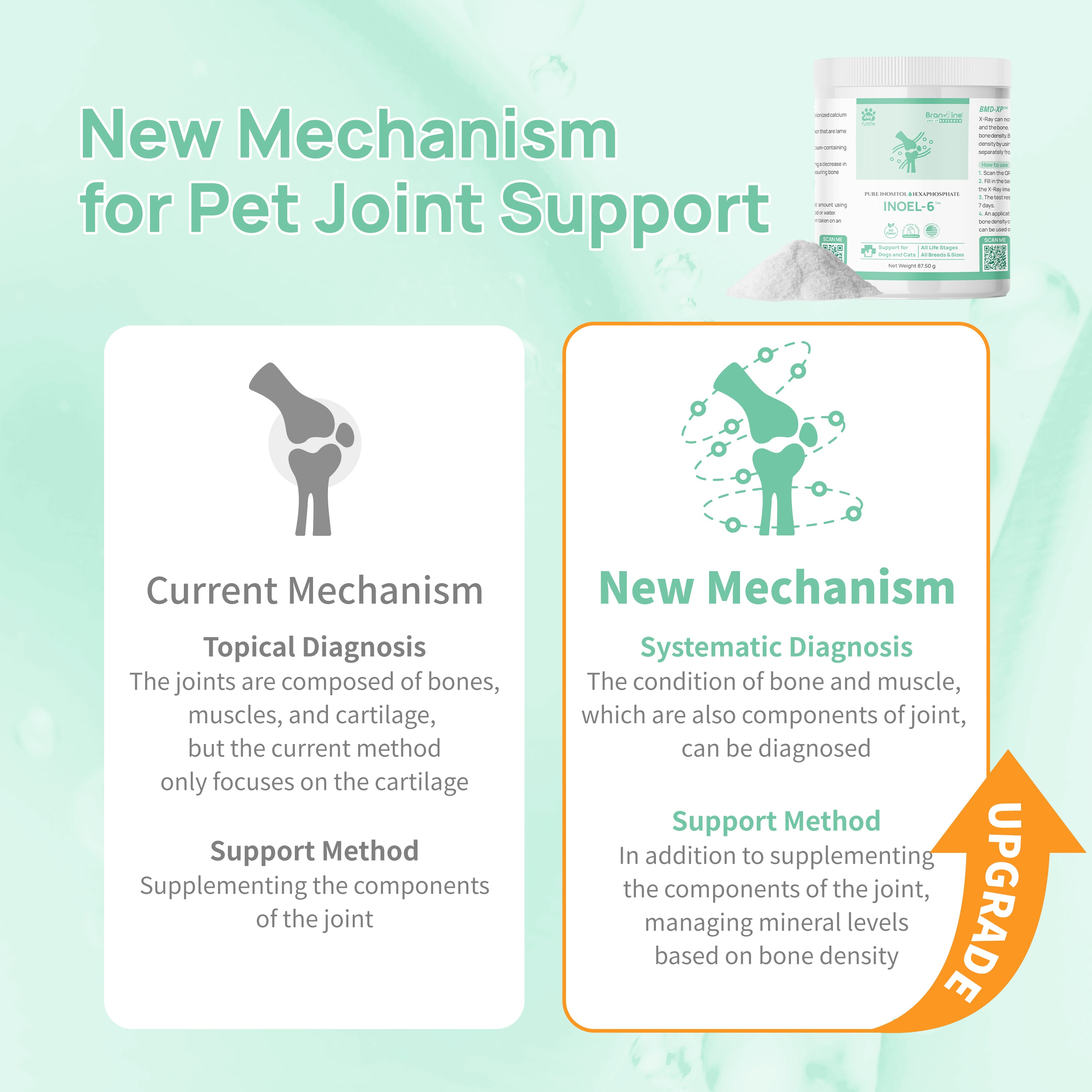 INOEL-6 for Cats and Dogs - Bone Density, Joint and Tumor (87.50g)