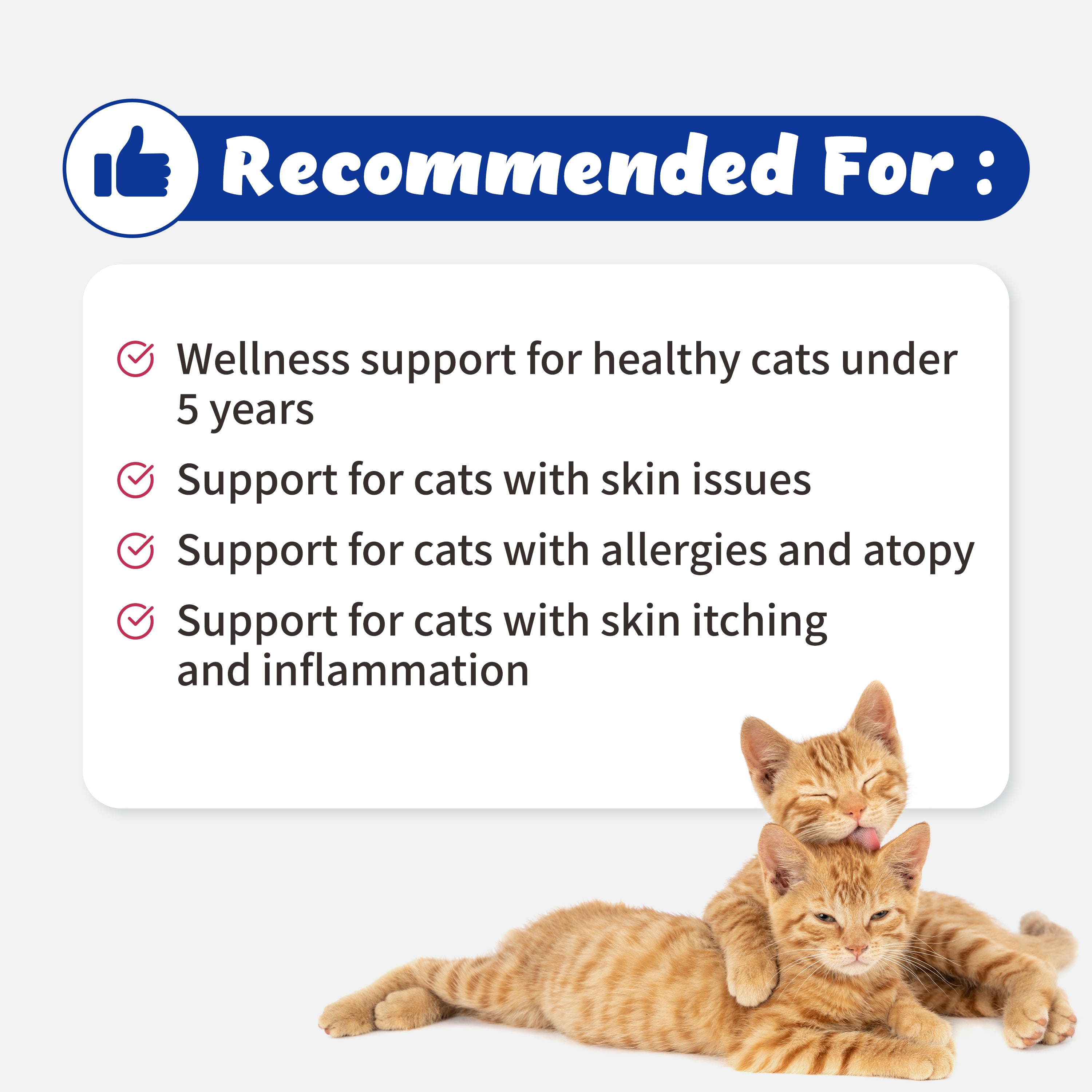 Branvine Wellness&Skin Support Echo for Kitty - 12 Health Benefits / Itching, Atopy, Allergy, Inflammation (54g)