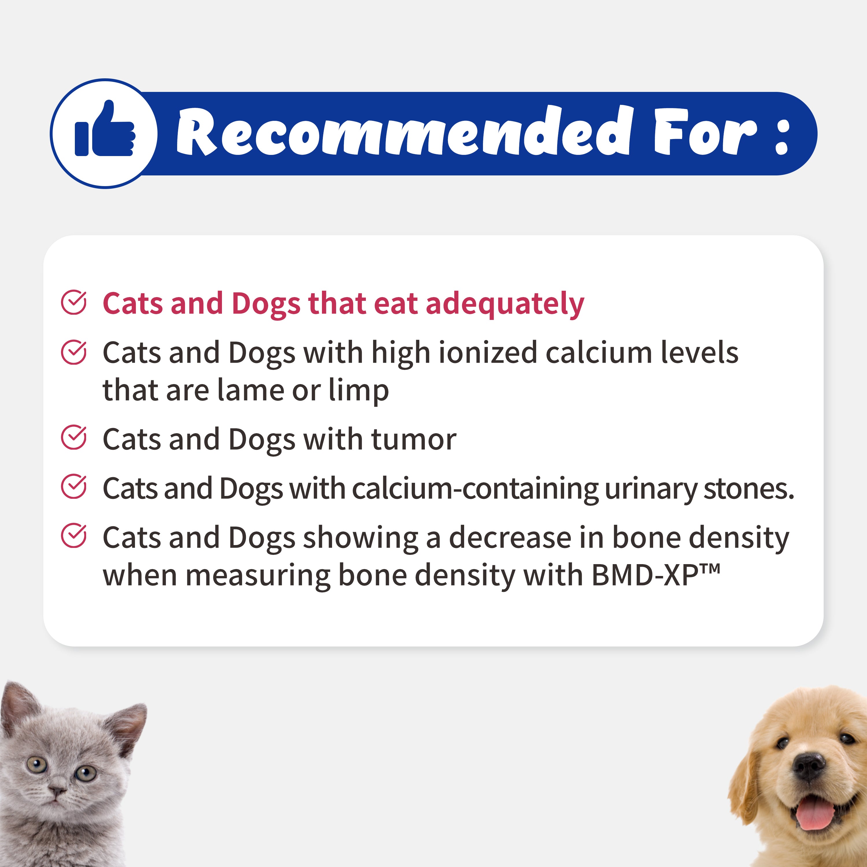 INOEL-6 for Cats and Dogs - Bone Density, Joint and Tumor (87.50g)