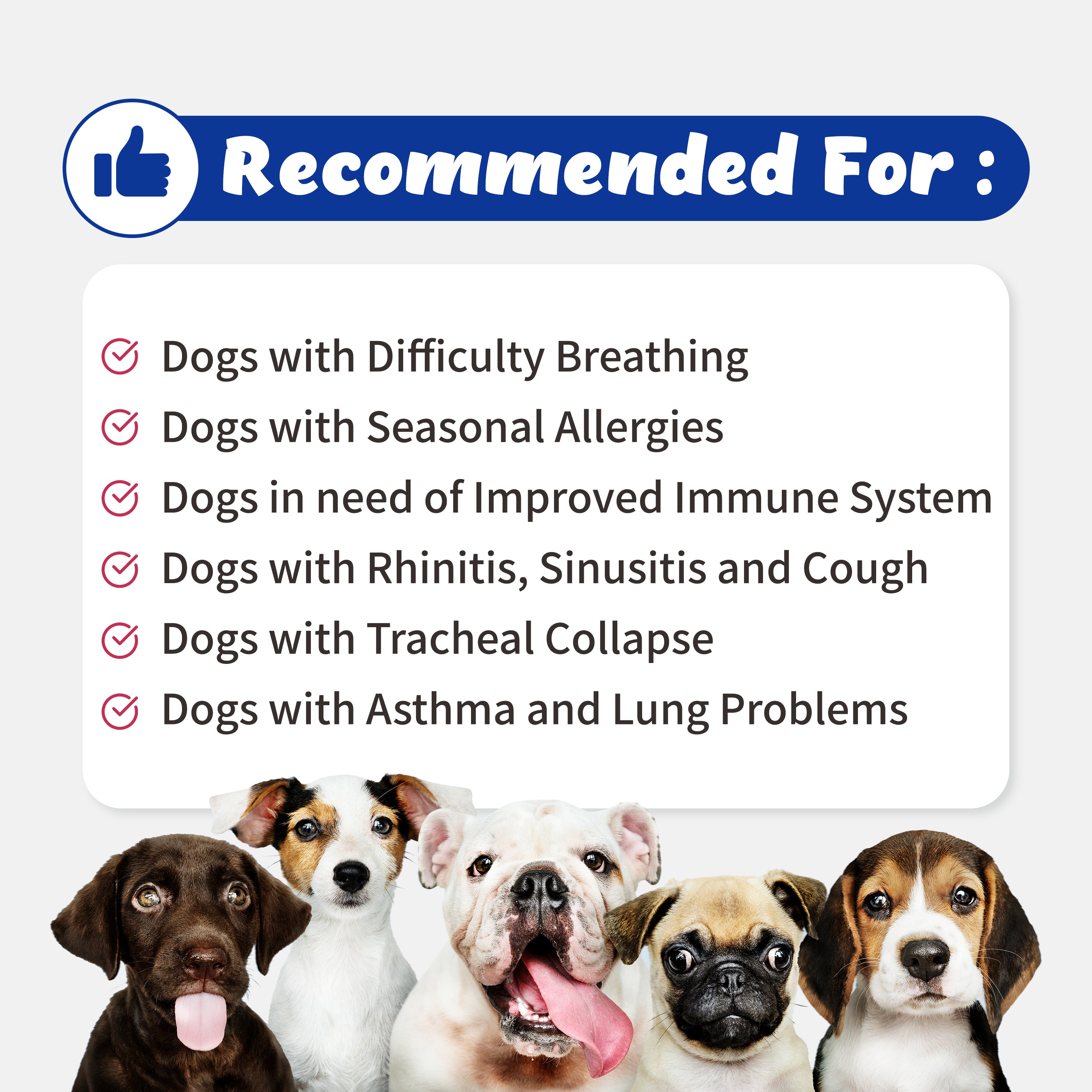 Respiratory Guardian - Supports Coughing, Runny Nose, Sinus for Dogs (7.5g)