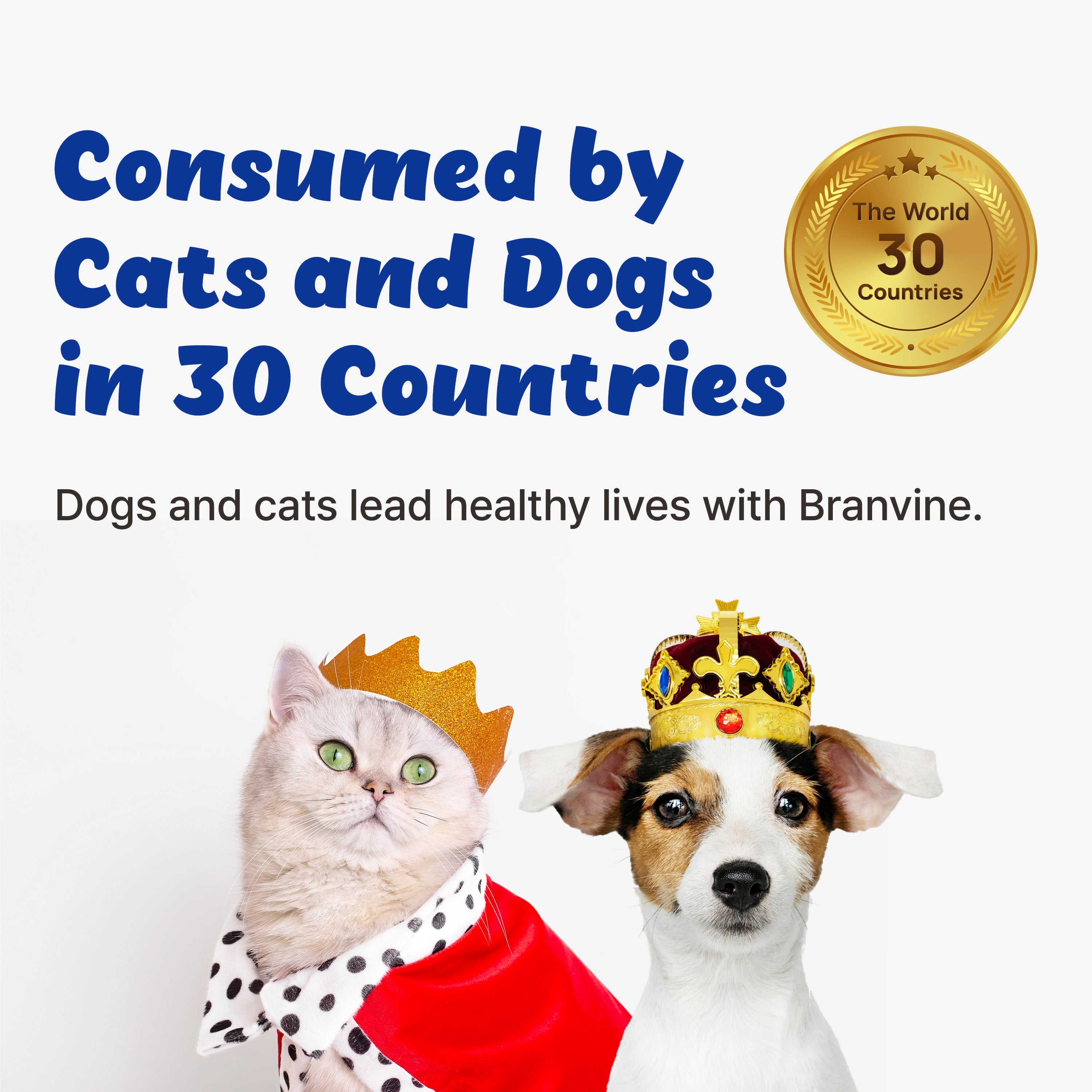 Recogry Cognitive Disorder and Brain Support for Cats and Dogs (90ml)