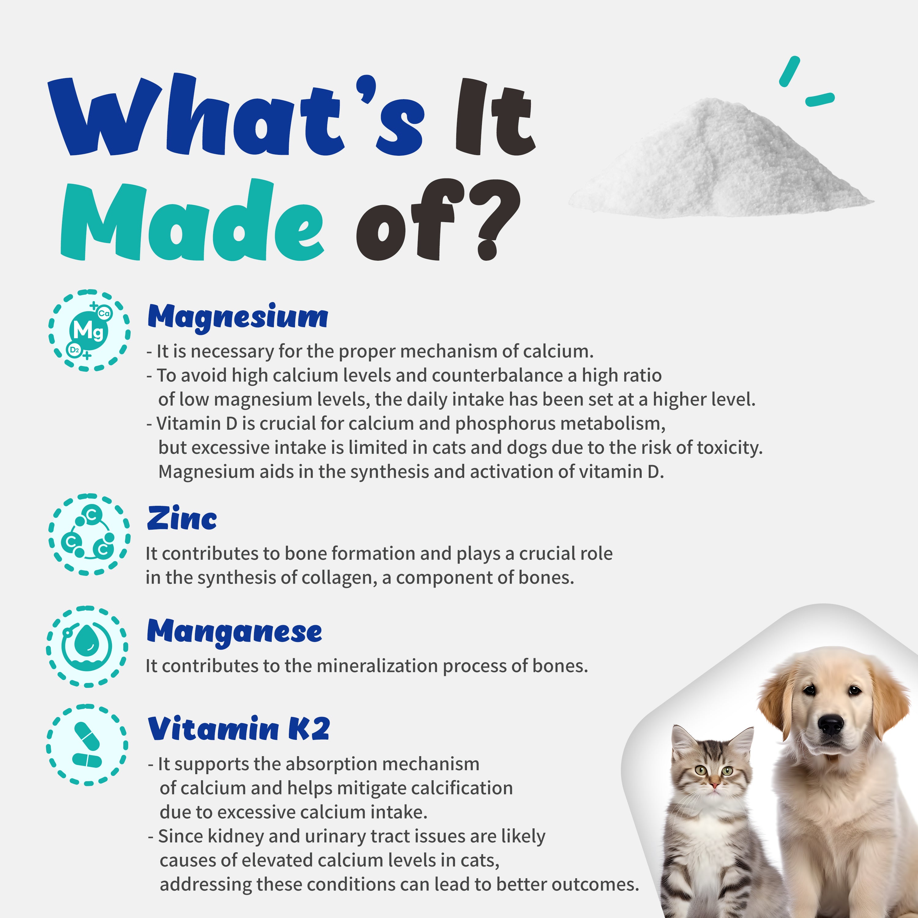 INOEL-6 for Cats and Dogs - Bone Density, Joint and Tumor (87.50g)