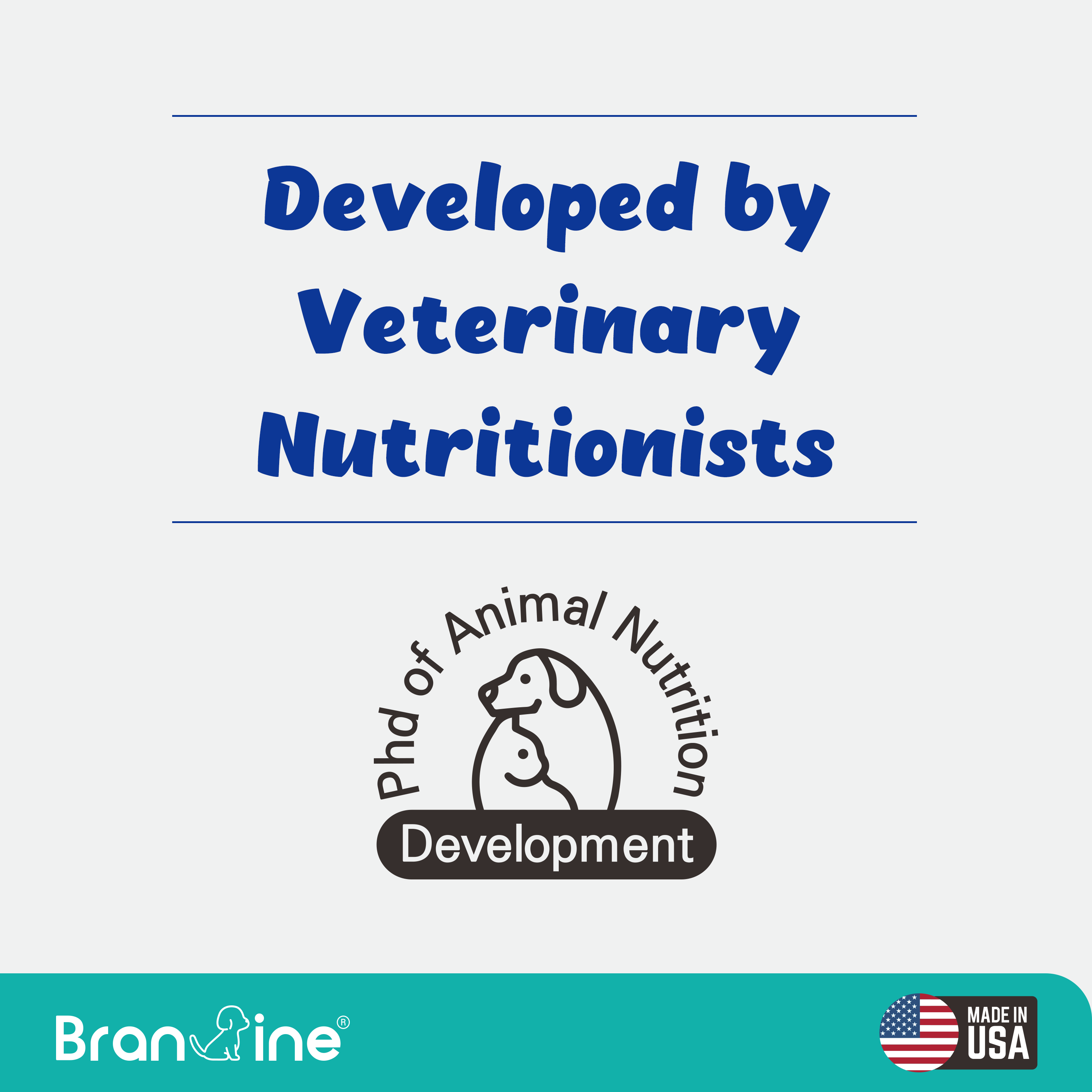 Recogry Cognitive Disorder and Brain Support for Cats and Dogs (90ml)