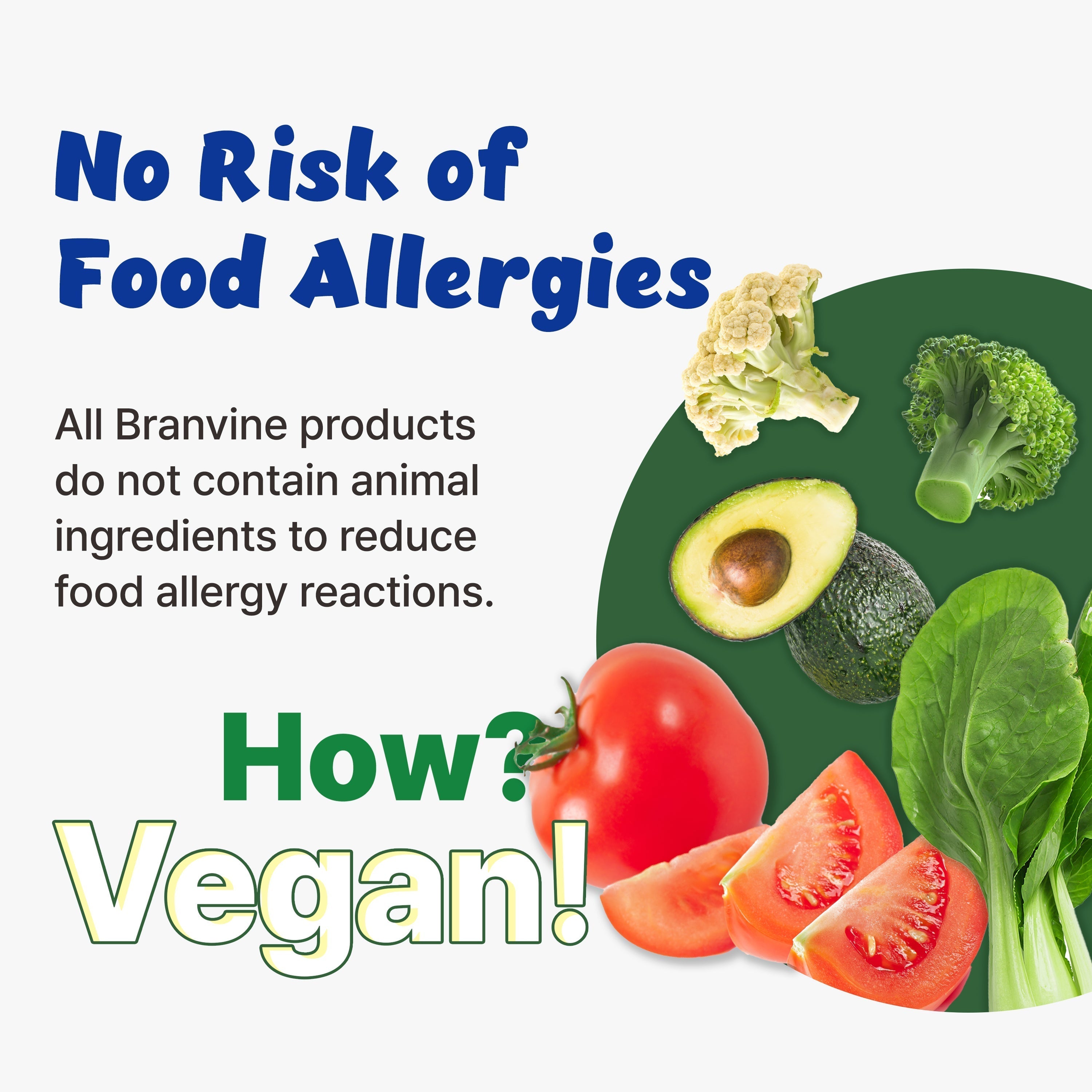 Cats and Dogs Aged 5-8 Years - Probiotics Powder + Urinary Guardian Vitamin B5 + Liver Alive