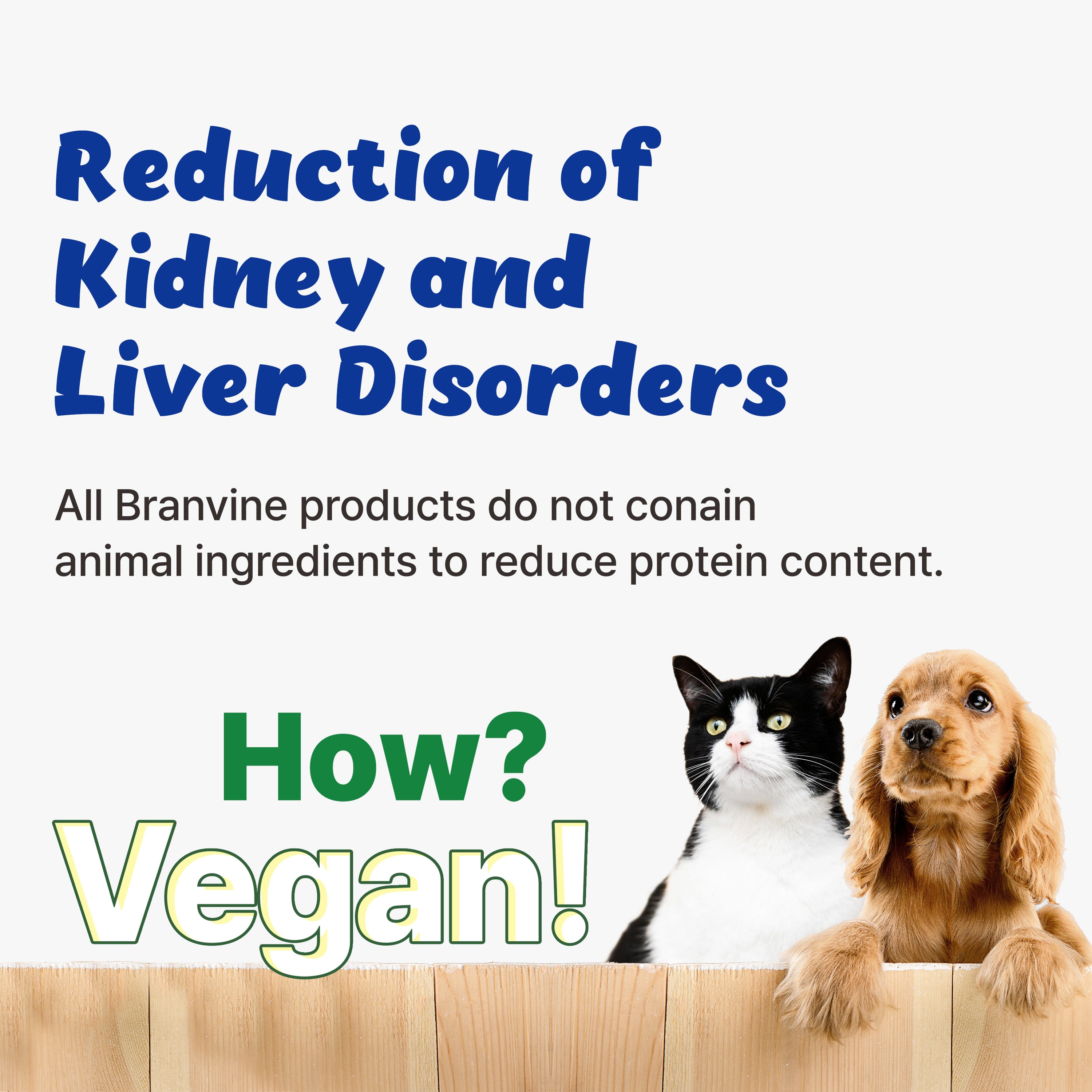 Immune Support & Gut Health for Sensitive, Young, or Senior Cats and Dogs (30ml)
