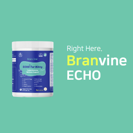 Branvine Wellness&Skin Support Echo for Kitty - 12 Health Benefits / Itching, Atopy, Allergy, Inflammation (54g)