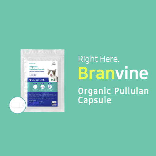 Organic Pullulan Empty 120 Capsules for Cats - Hides Medicine Taste & Scent