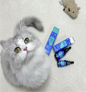 Cloud’s story
