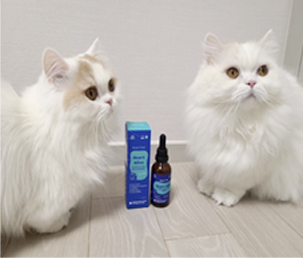 Yuki & Sora’s story