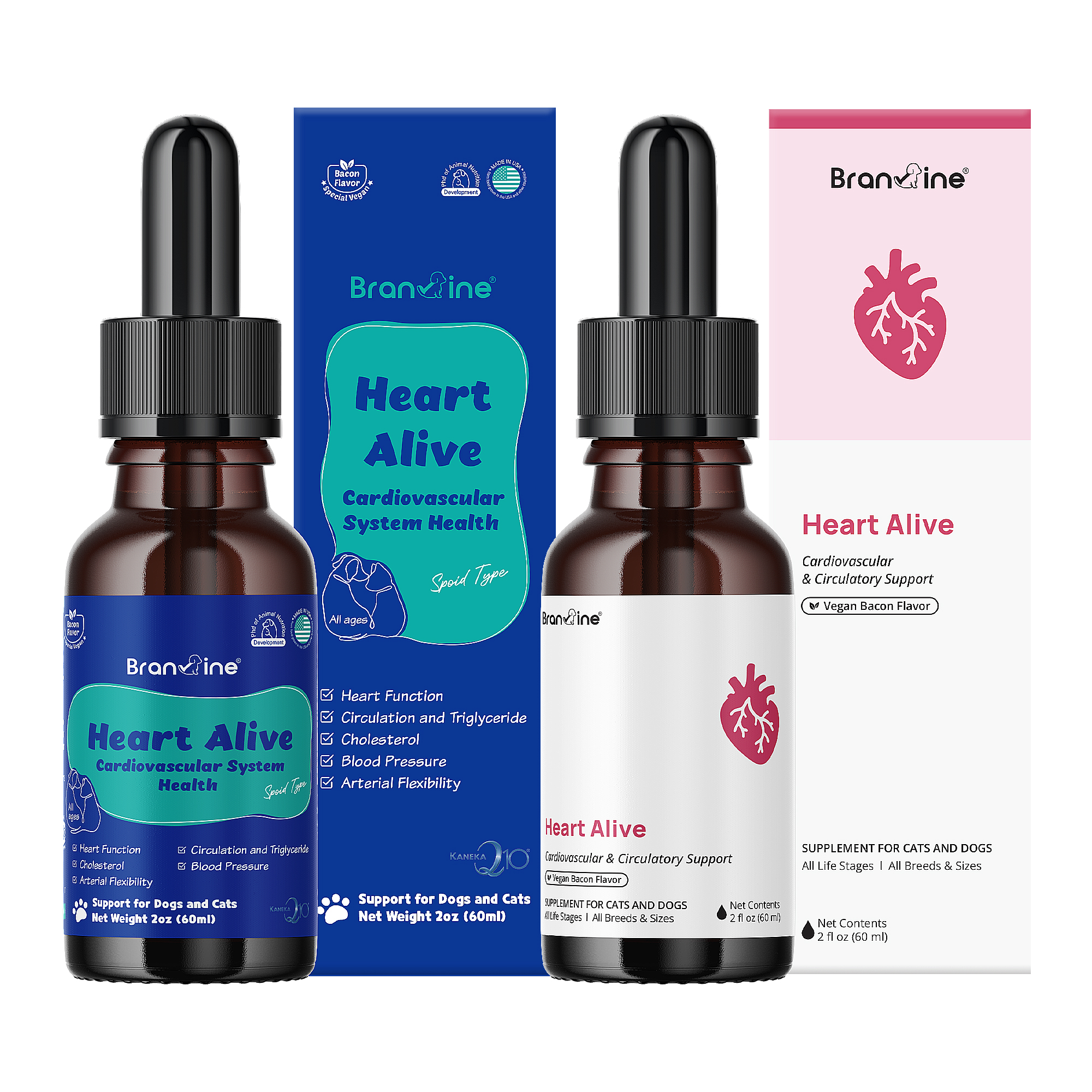 Heart Alive
