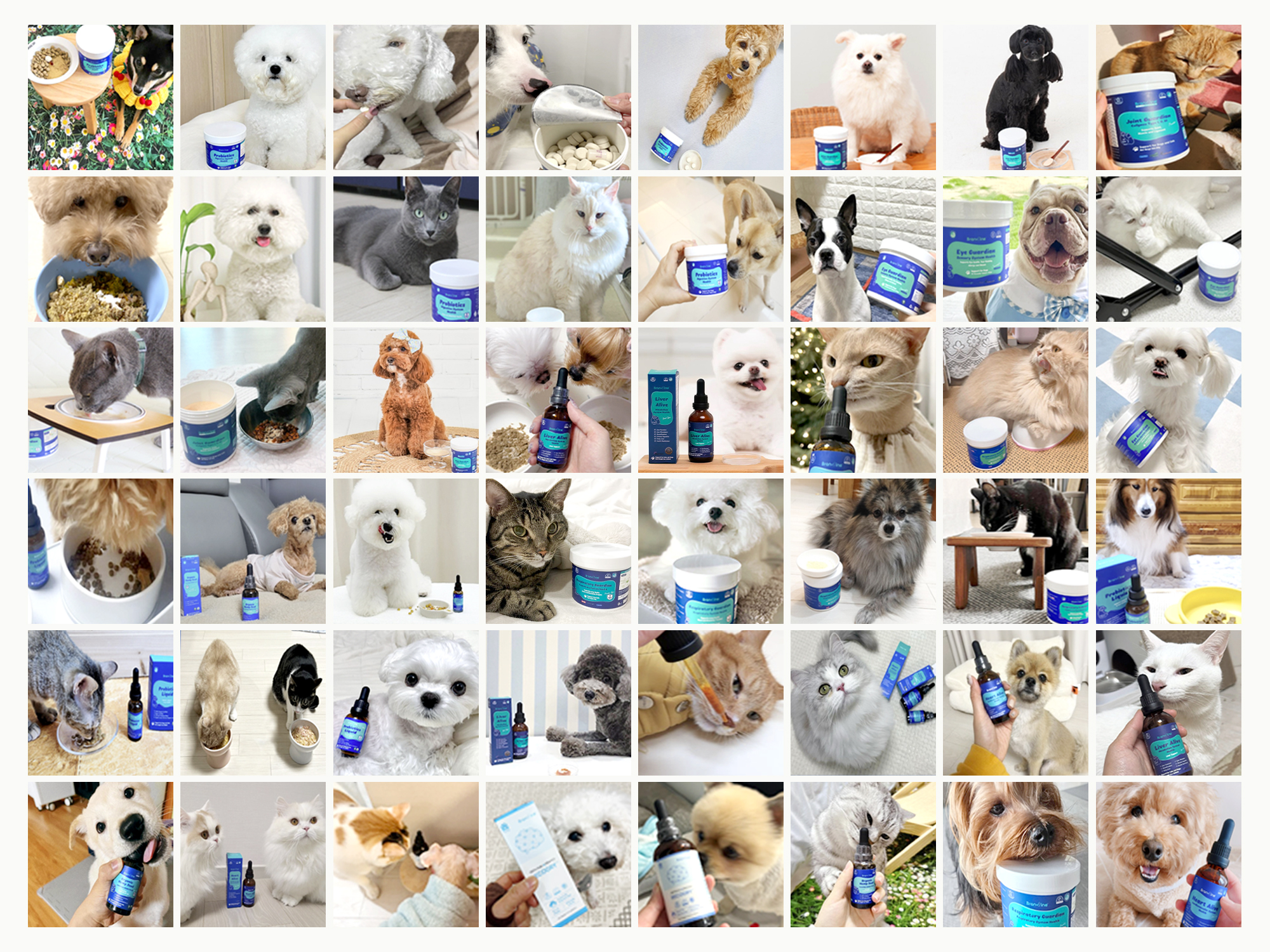 Branvine pets with their supplements, shared by caregivers