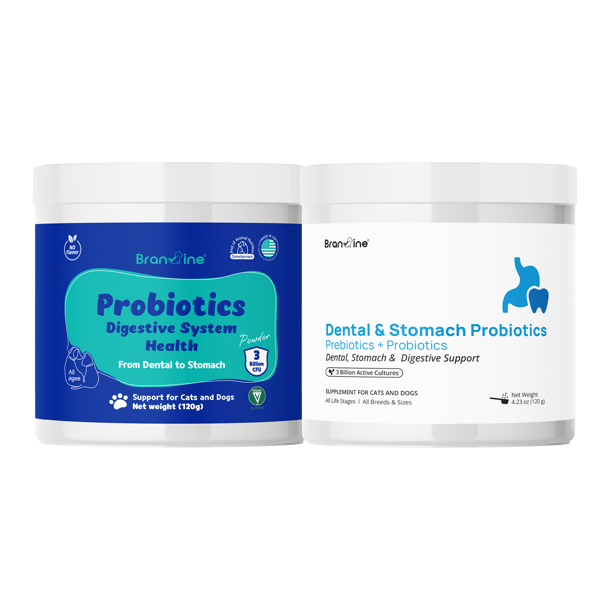 Dental & Stomach Probiotic