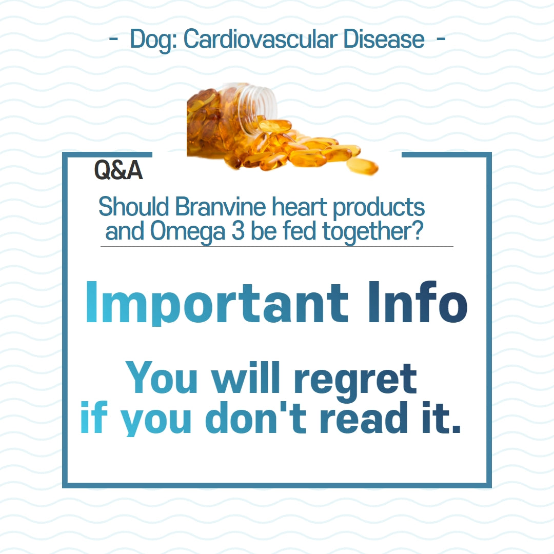 Should Branvine heart Products and Omega 3 be fed together?