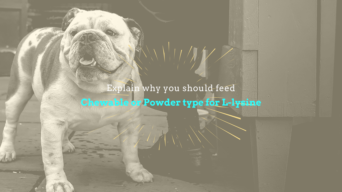 Take chewable or powder type only for L-lysine.