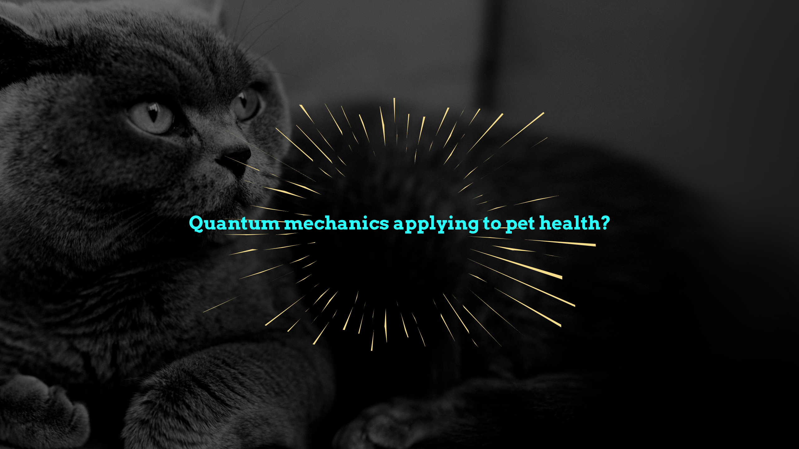 About quantum mechanics and Resonance Therapy, Science for companion animal health