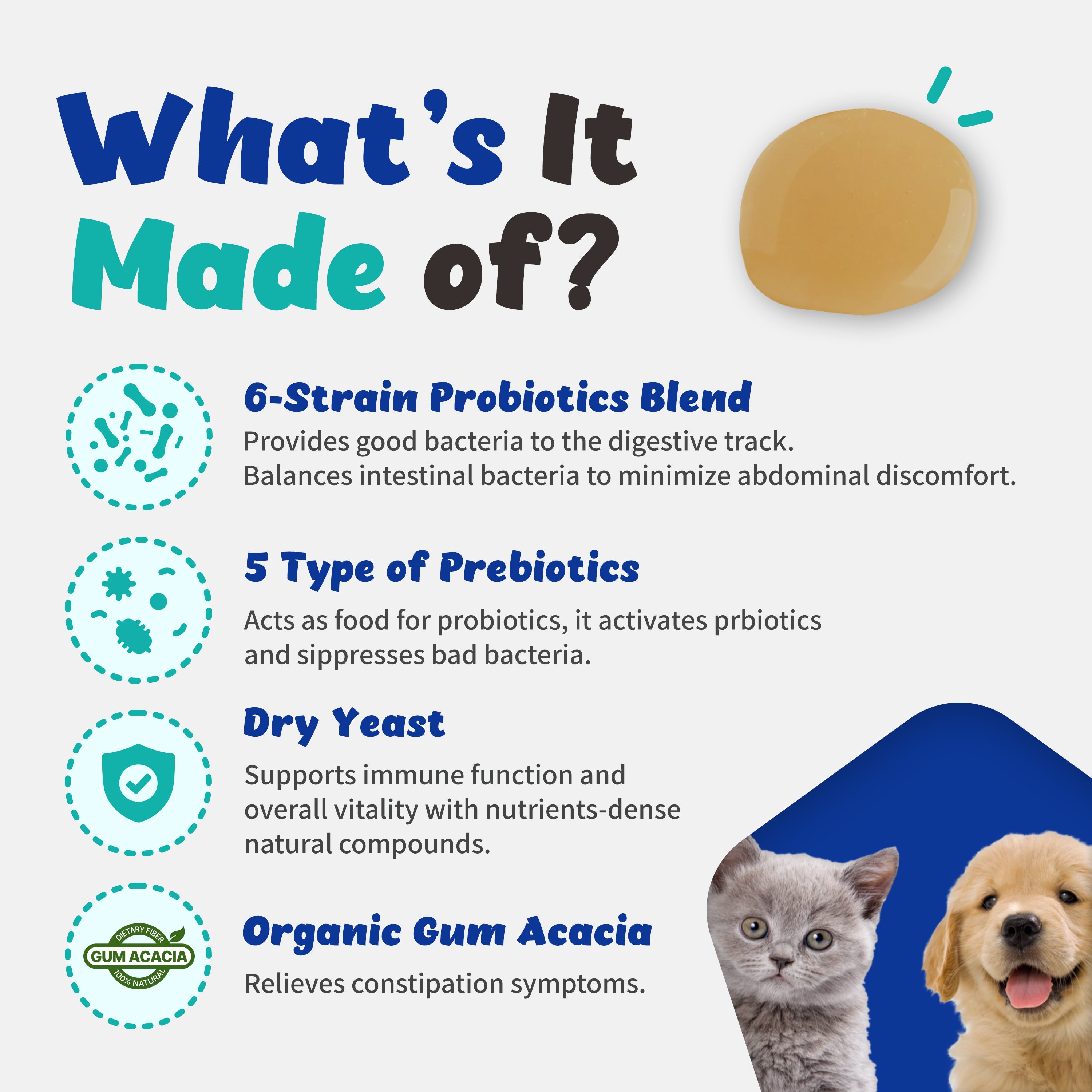 Immune Support & Gut Health for Sensitive, Young, or Senior Cats and Dogs (60ml)