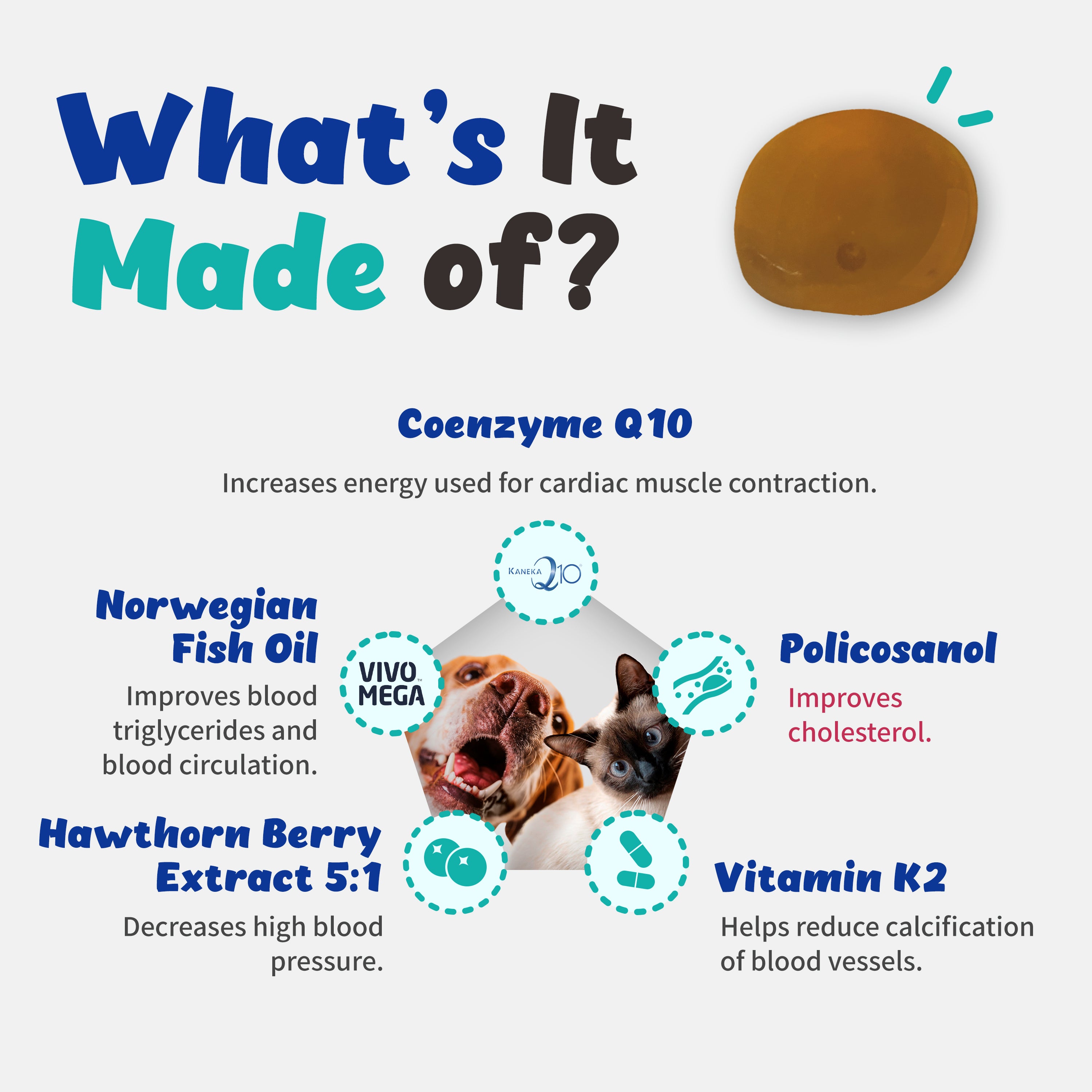 Heart Alive - Cardiovascular Health of Cats and Dogs (60ml)