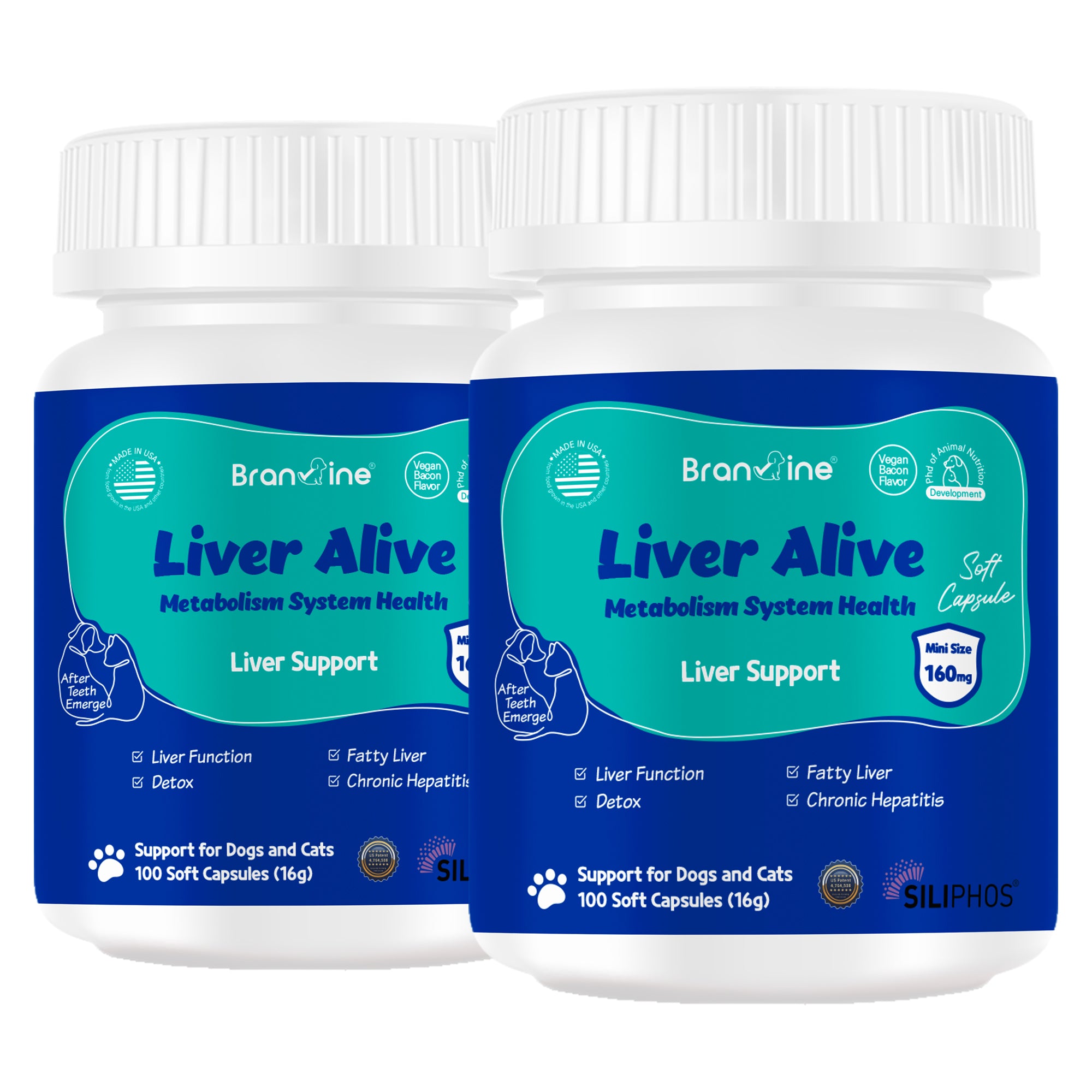 Liver Alive Supports Liver Function, Detox for Cats and Dogs (100
