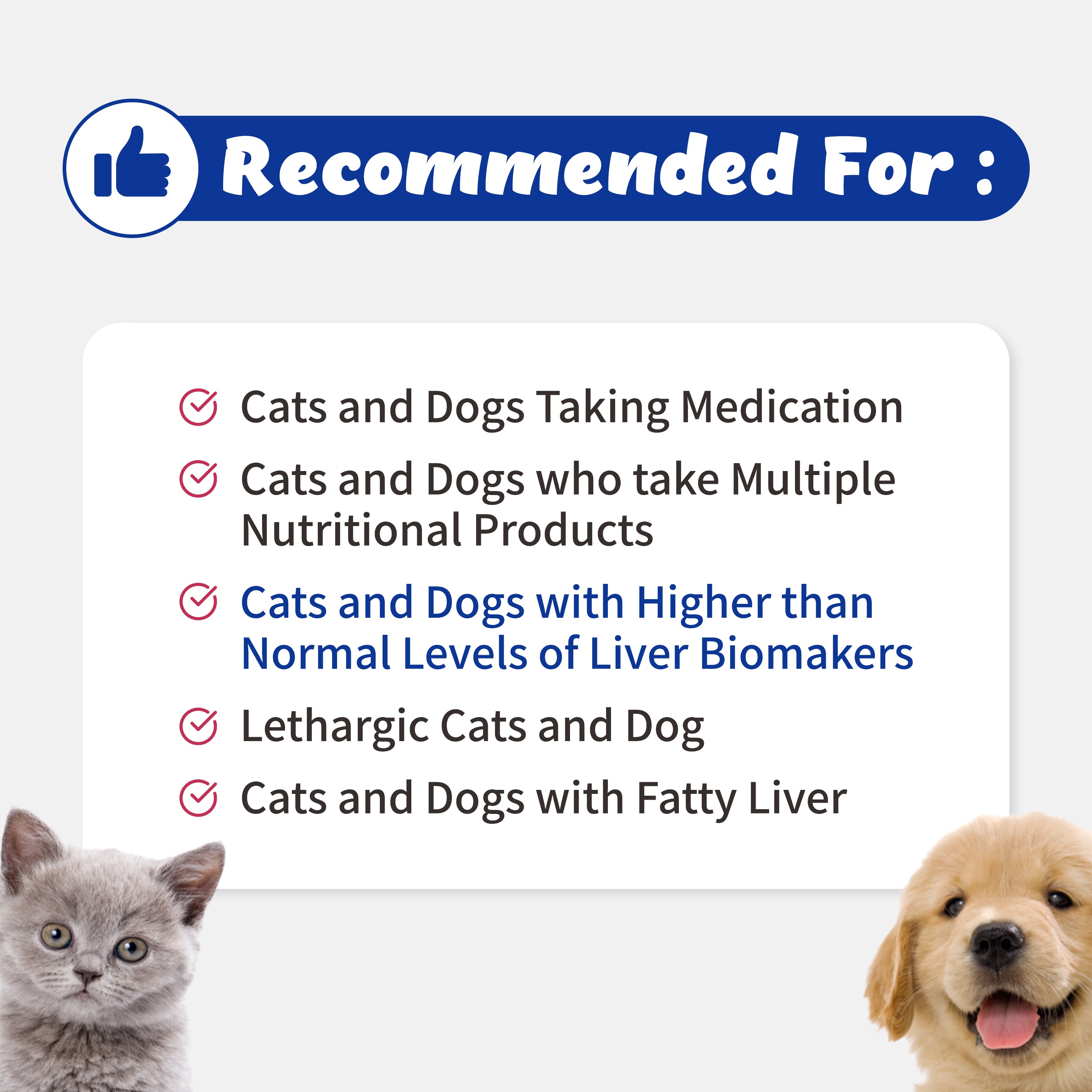Liver Alive -  Supports Liver Function, Detox for Dogs and Cats (60ml)