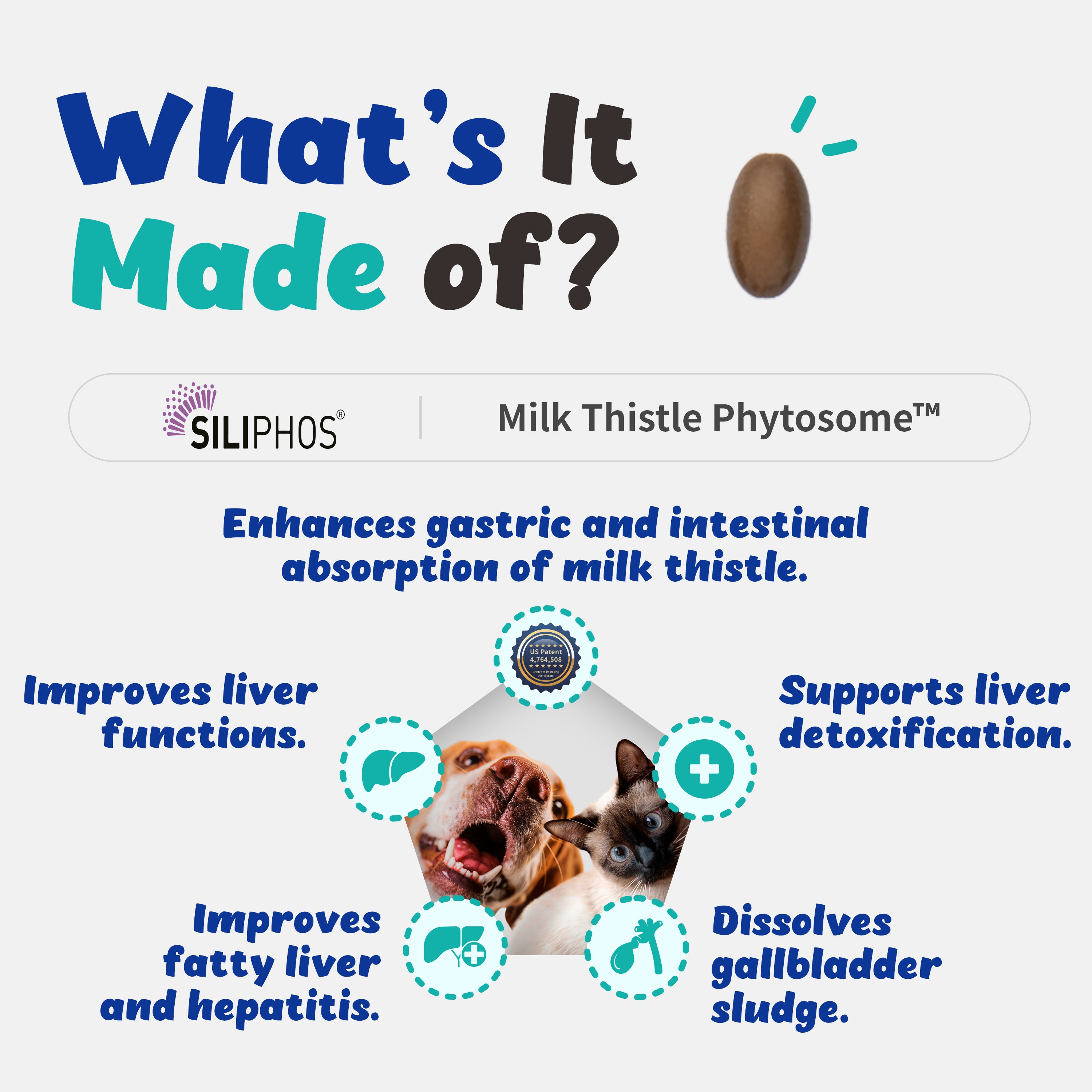 Liver Alive Supports Liver Function, Detox for Cats and Dogs (100