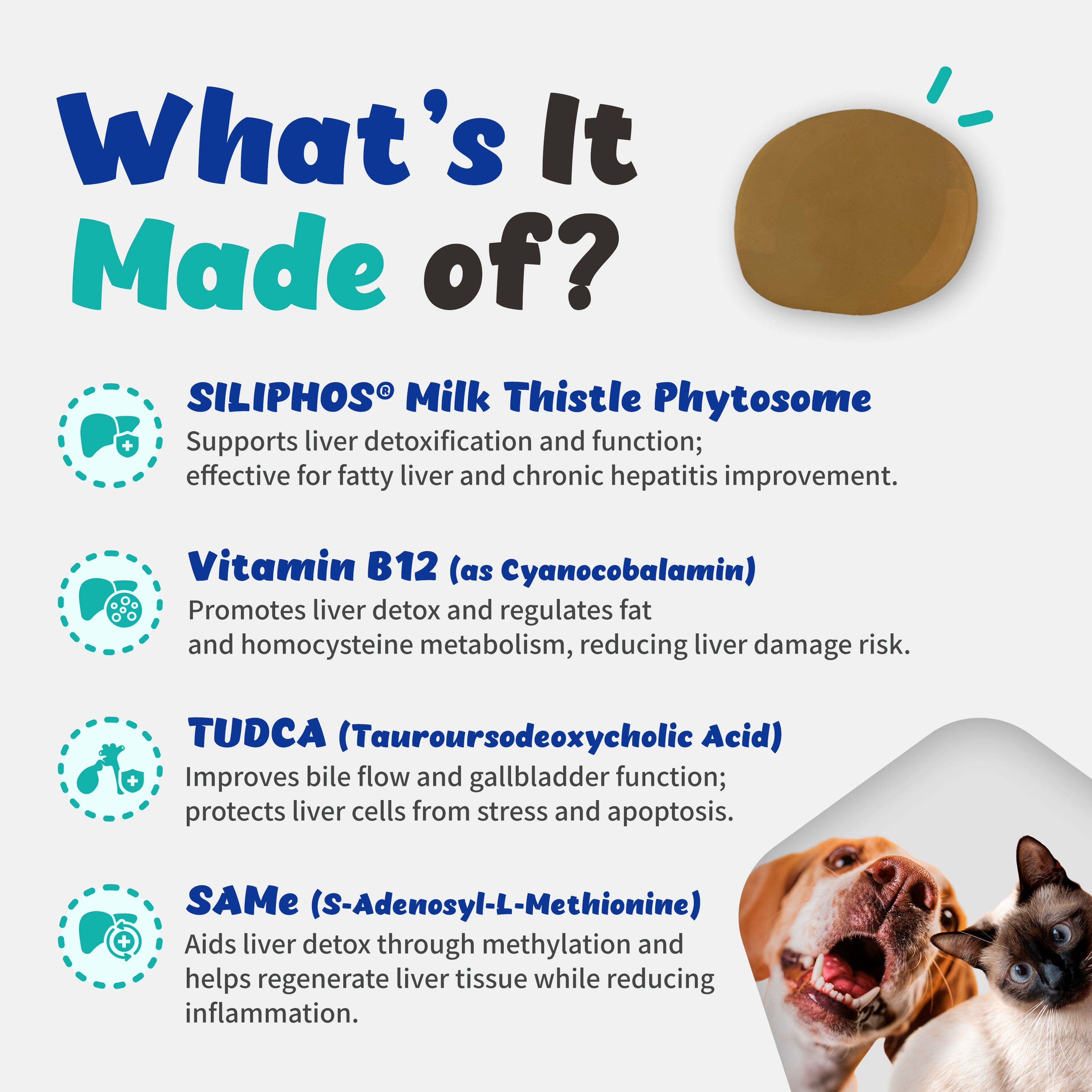 Liver Alive -  Supports Liver Function, Detox for Dogs and Cats (60ml)