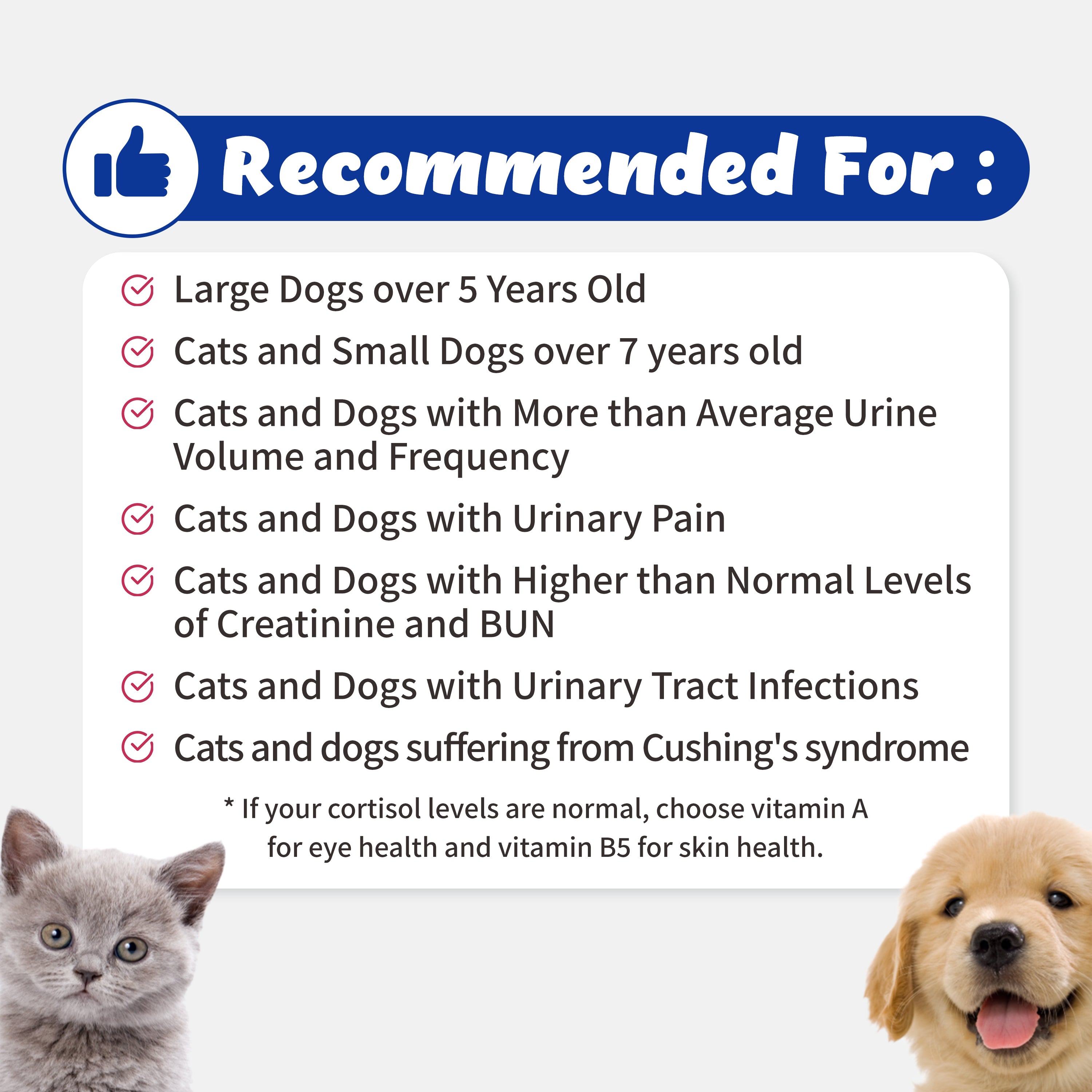 Urinary Guardian Vitamin A - Supports Kidney, Bladder, Cushing for Cats and Dogs (117g)