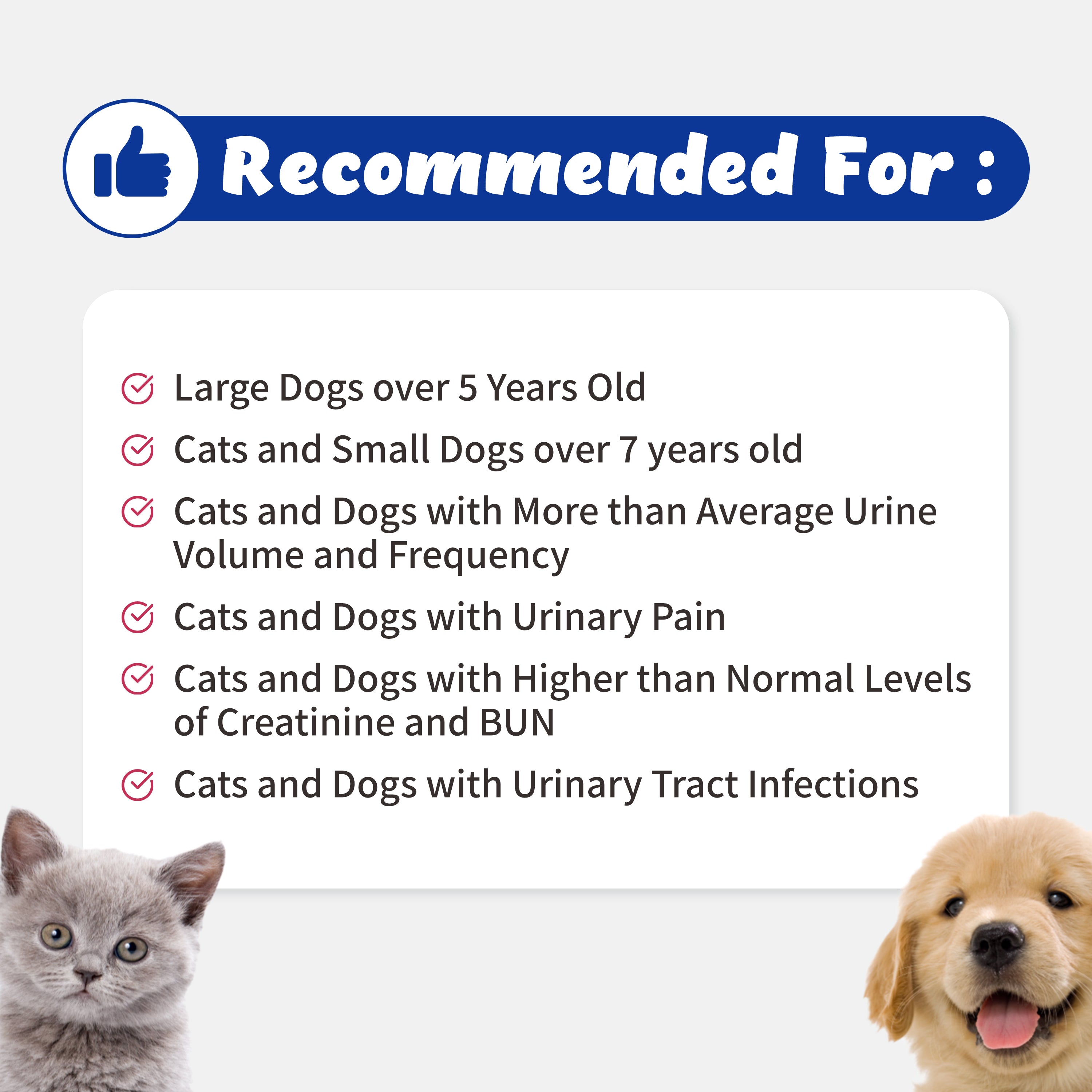 Urinary Guardian - Supports Kidney, Bladder for Cats and Dogs (6.5g)