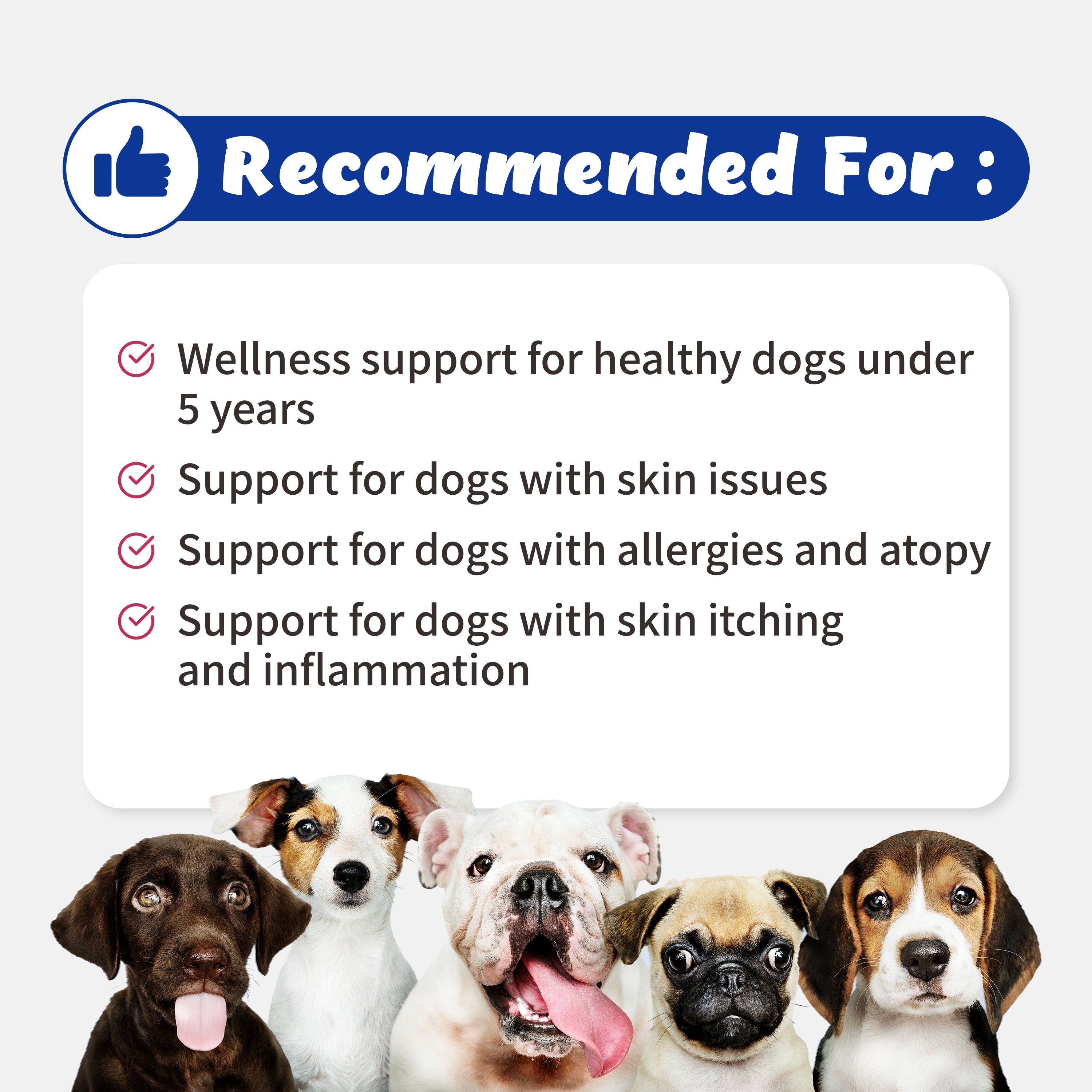 Branvine Wellness&Skin Support Echo for Doggy - 12 Health Benefits / Itching, Atopy, Allergy, Inflammation (72g)