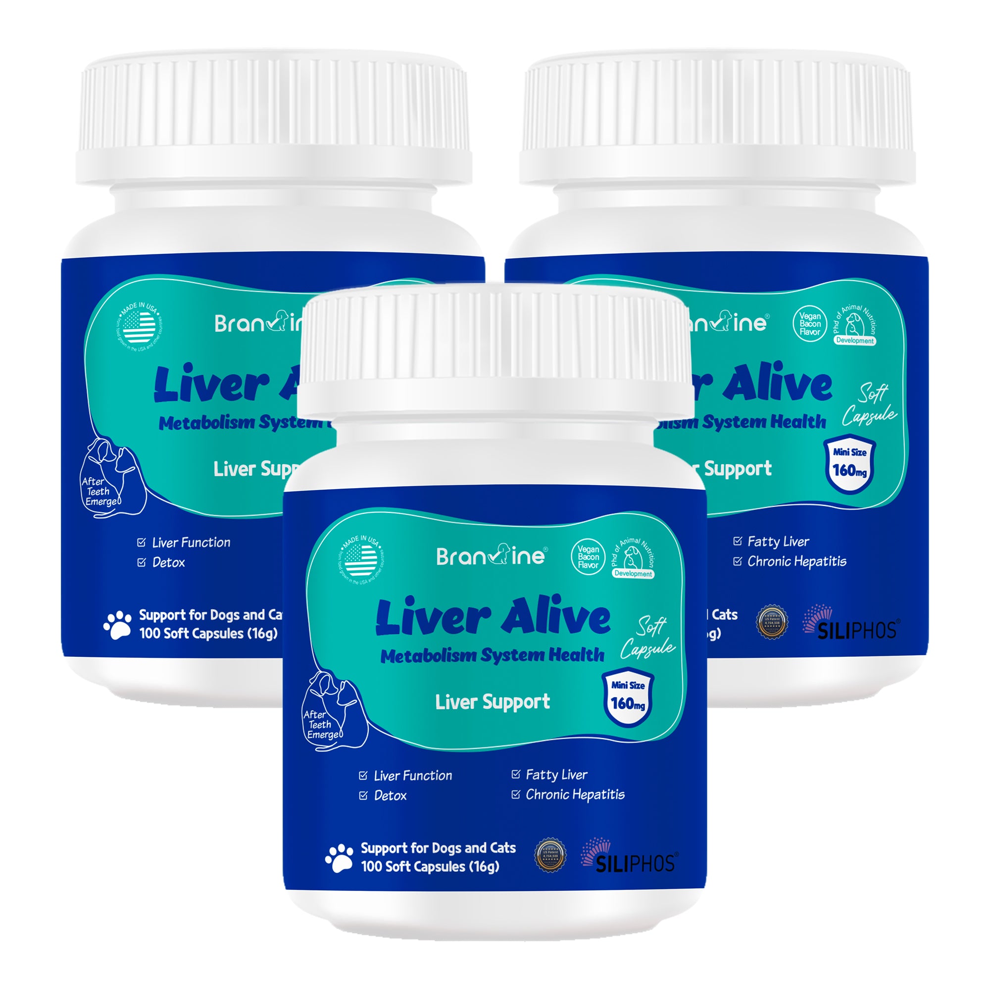 Liver Alive Supports Liver Function, Detox for Cats and Dogs (100