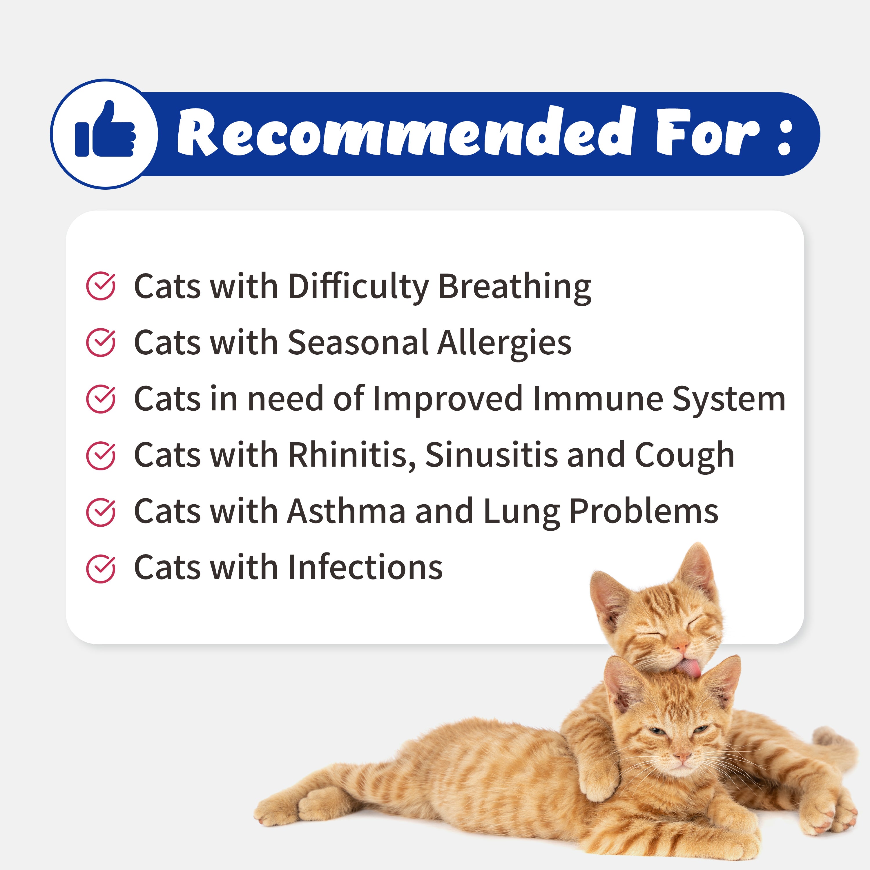 Respiratory Guardian - Supports Coughing, Runny Nose, Sinus for Cats (6.5g)