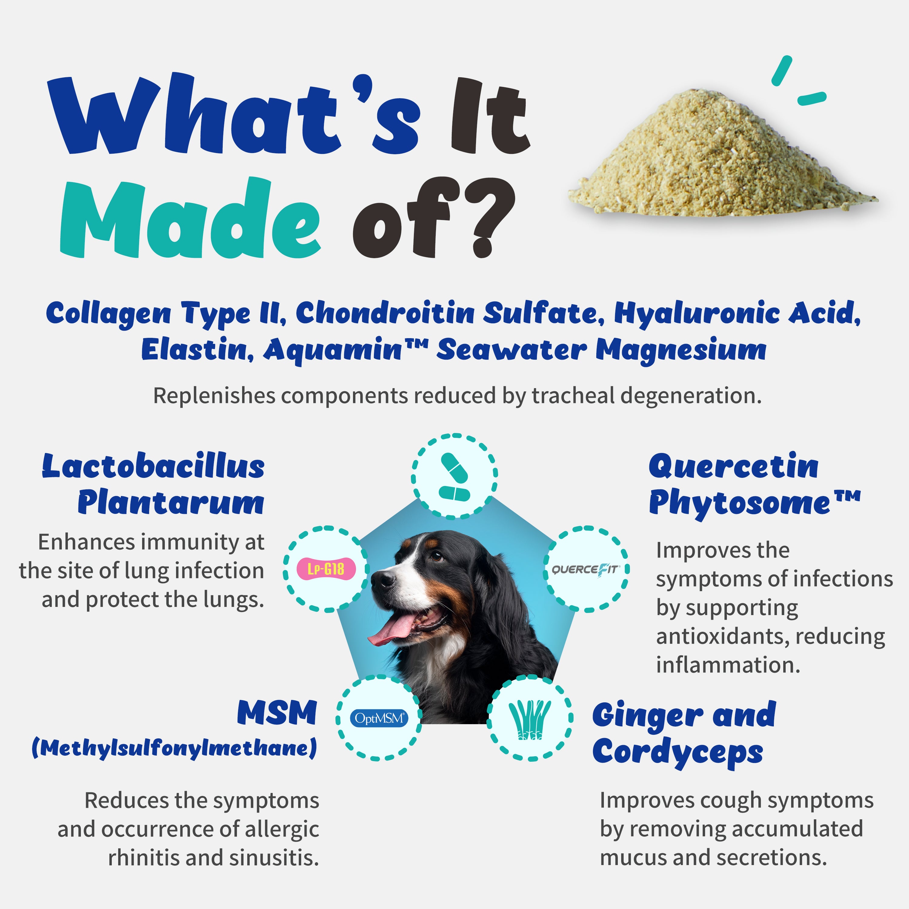 Respiratory Guardian - Supports Coughing, Runny Nose, Sinus for Dogs (135g)