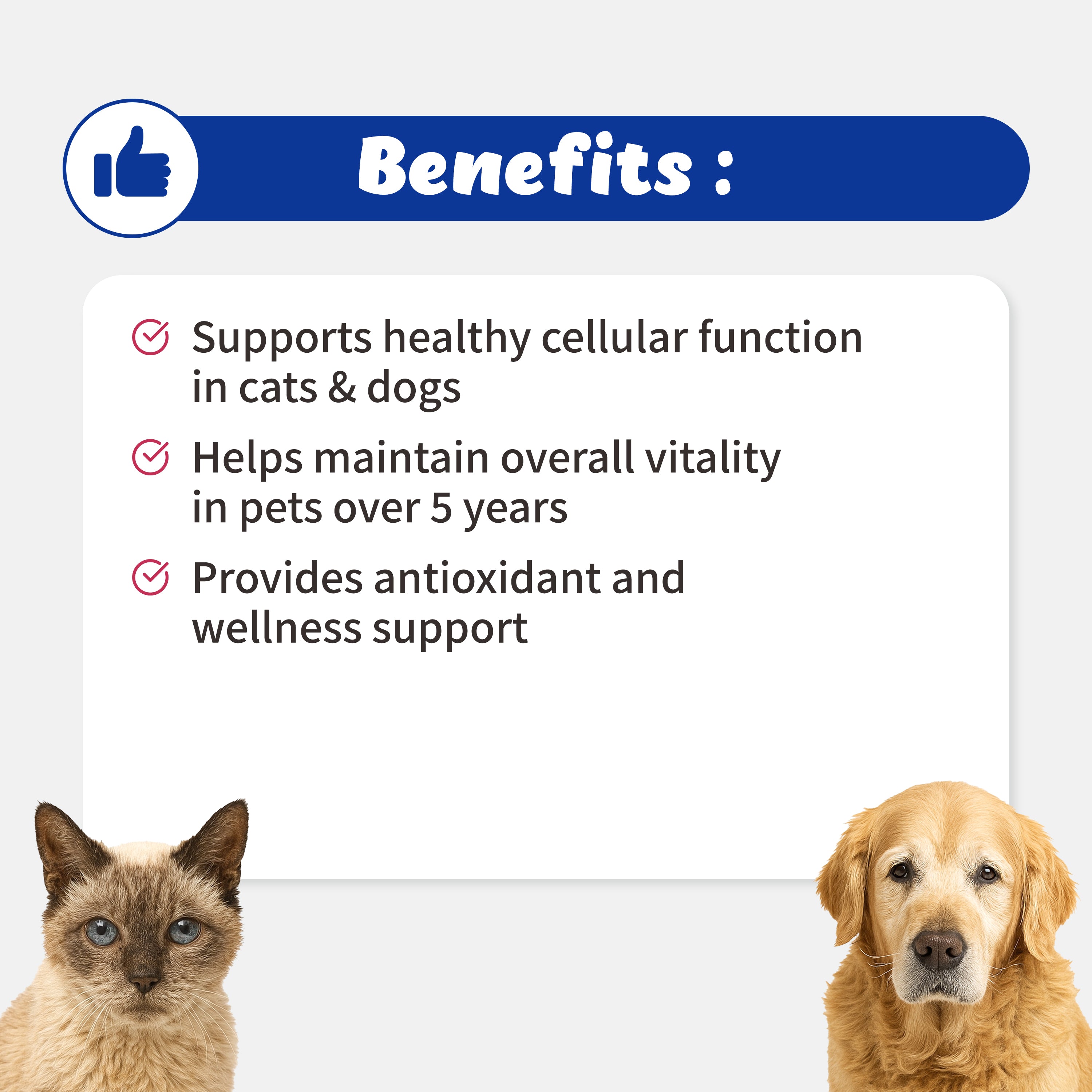 NAD CellVet for Cats and Dogs (54g)