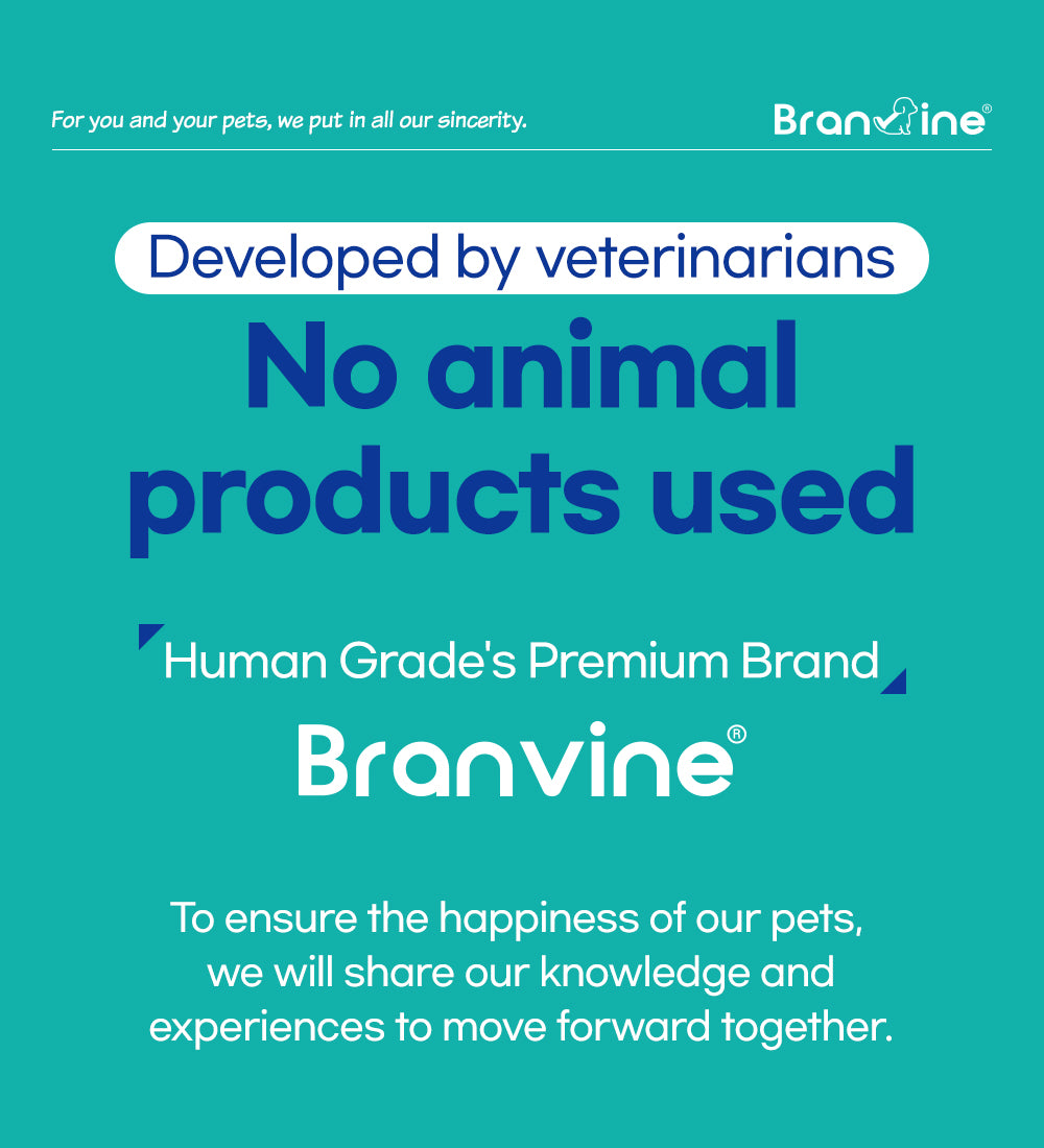 Contact Banner Image