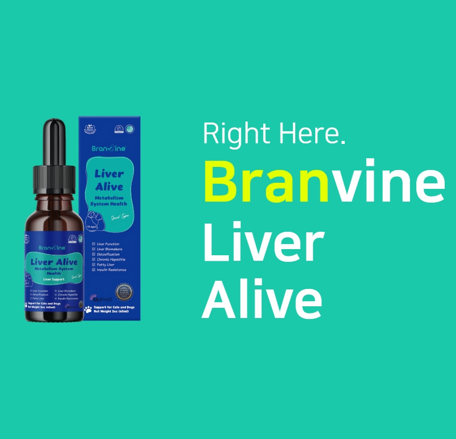 Liver Alive -  Supports Liver Function, Detox for Dogs and Cats (60ml)