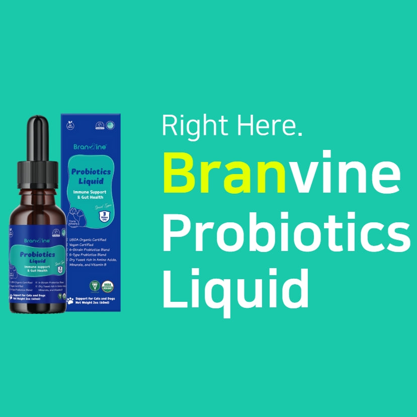 Immune Support & Gut Health for Sensitive, Young, or Senior Cats and Dogs (60ml)