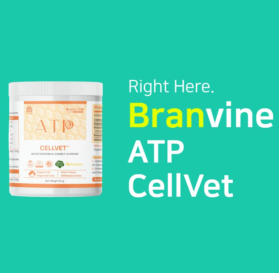 ATP CellVet for Cats and Dogs (54g)