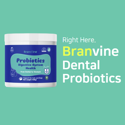 Dental-Tummy Probiotics for Cats and Dogs (120g)
