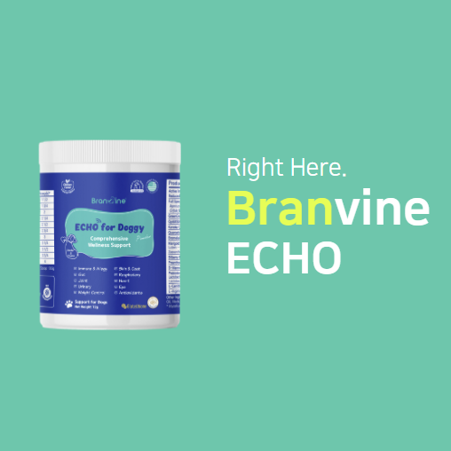 Branvine Wellness&Skin Support Echo for Doggy - 12 Health Benefits / Itching, Atopy, Allergy, Inflammation (72g)