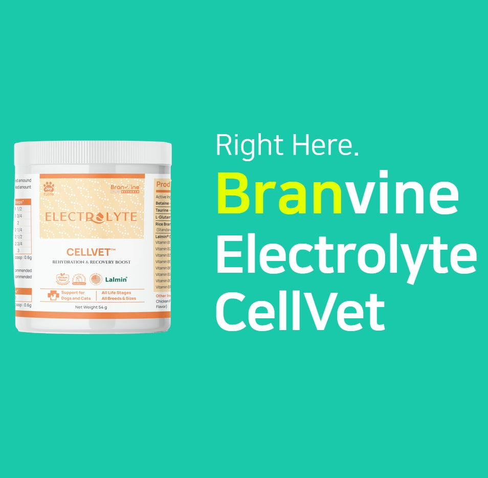 Electrolyte CellVet for Cats and Dogs (54g)