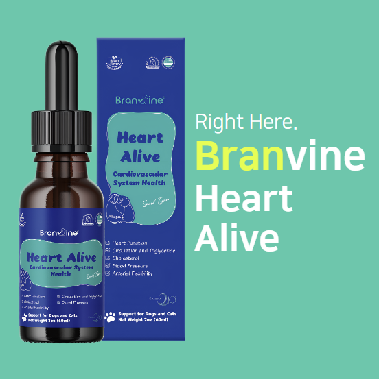 Heart Alive - Cardiovascular Health of Cats and Dogs (60ml)