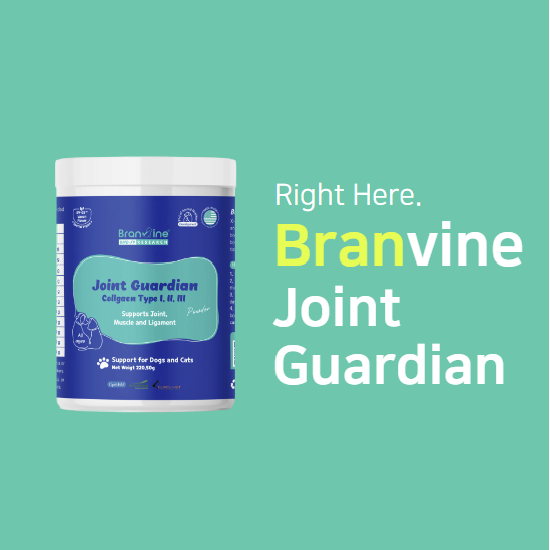 New Mechanism for Pet Joint Support - Ionel + Joint Guardian