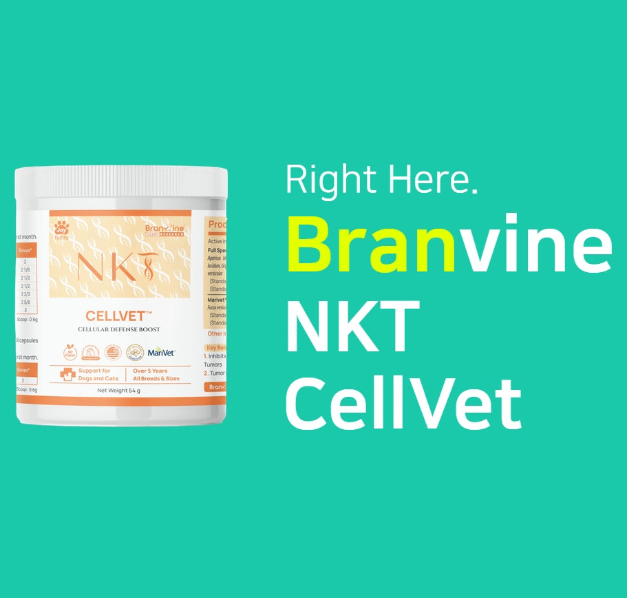NKT CellVet for Cats and Dogs (54g)