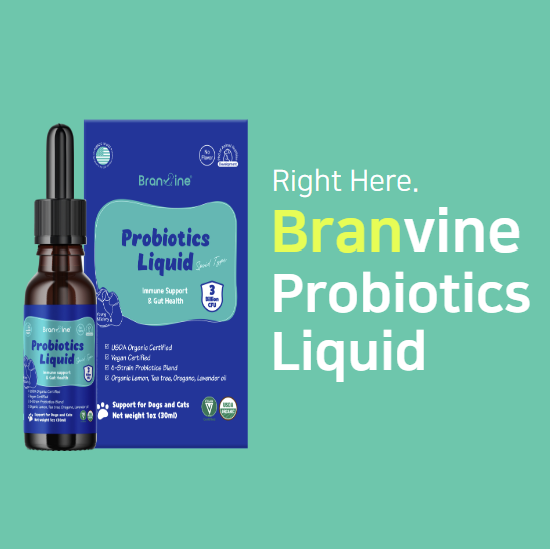 Immune Support & Gut Health for Sensitive, Young, or Senior Cats and Dogs (30ml)