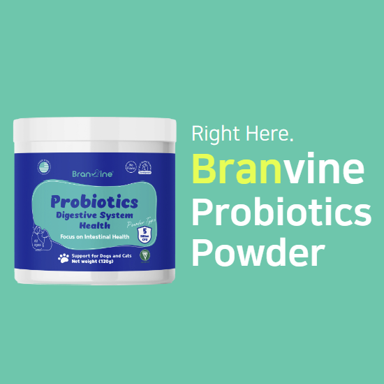 Improving Diarrhea, Constipation and Stool Odor for Cats and Dogs (120g)