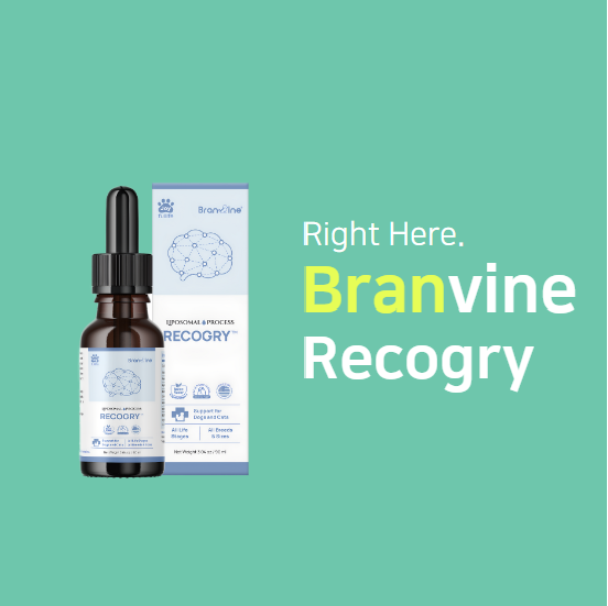 Recogry Cognitive Disorder and Brain Support for Cats and Dogs (90ml)